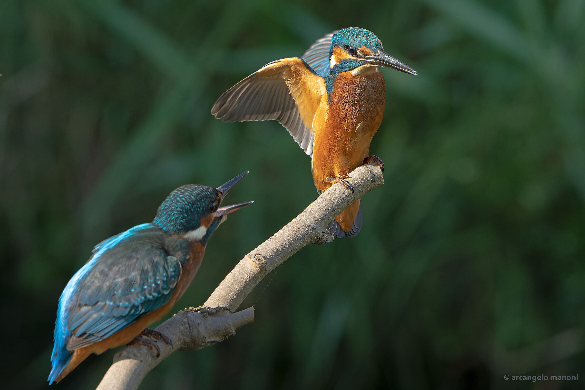 Ormai sei grande! pesca da solo!