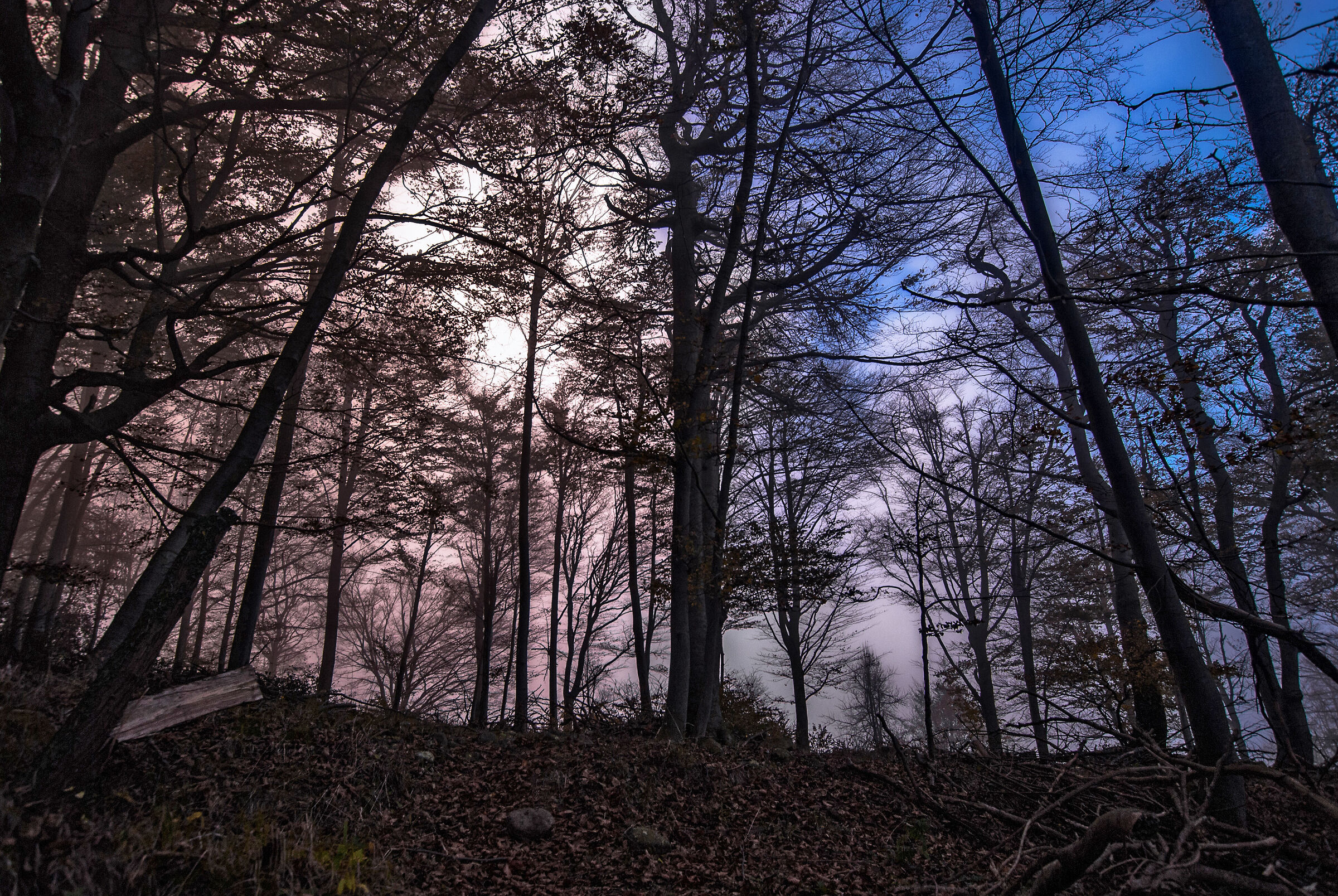 Adelasia Regional Park ( SV )