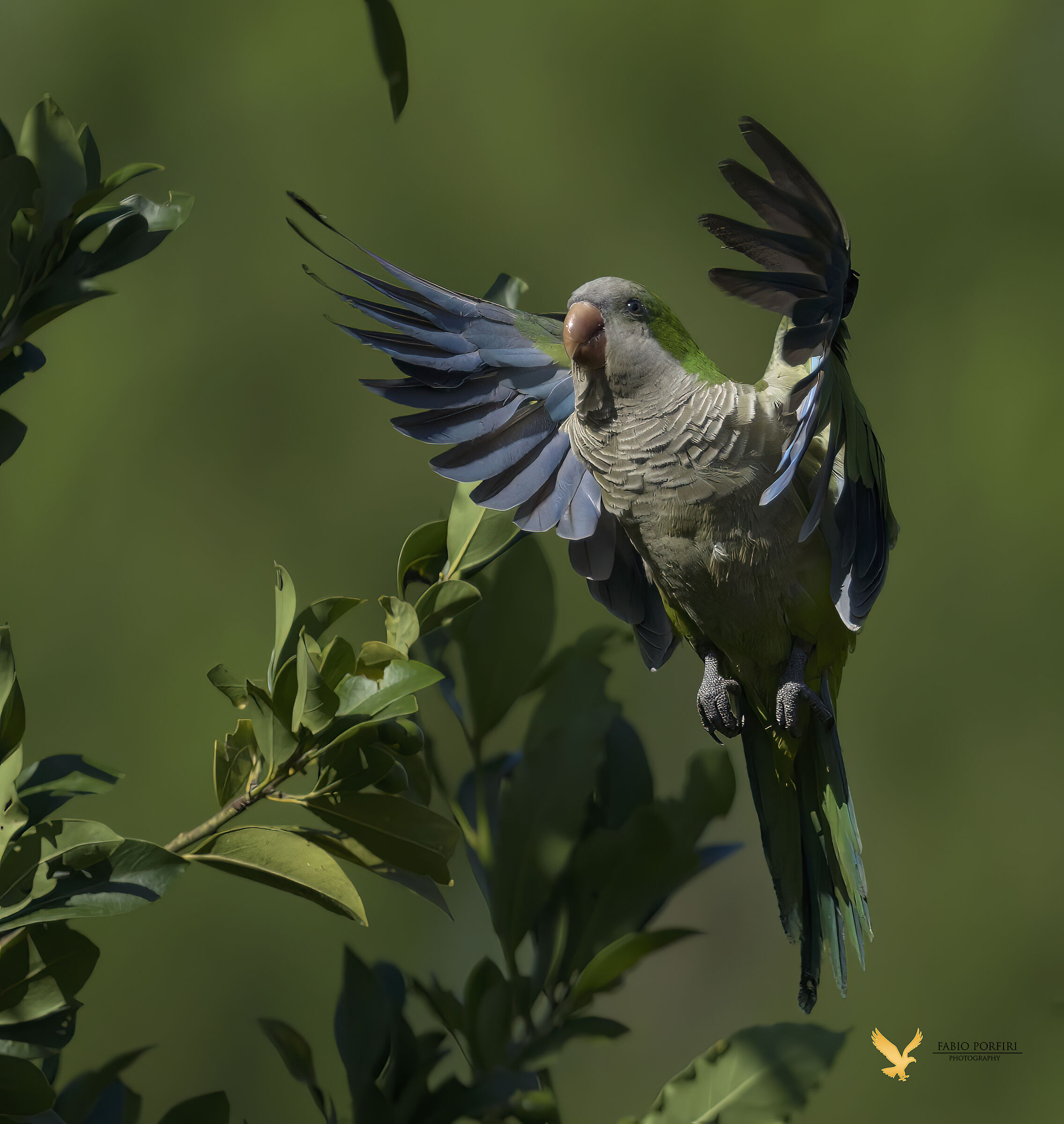 .....verso la luce...