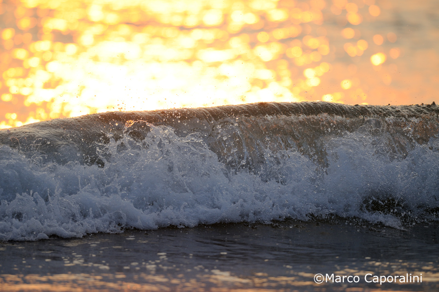 Wave at sunset