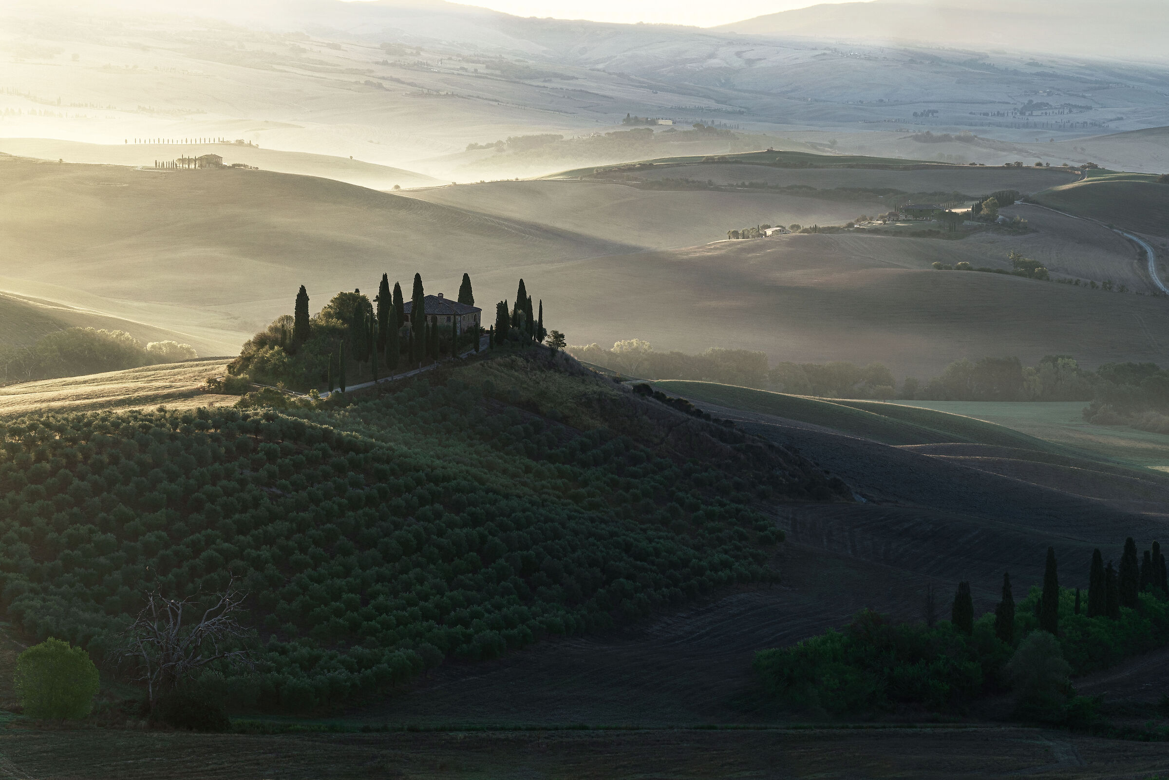 Fog and light in Val d'Orcia
