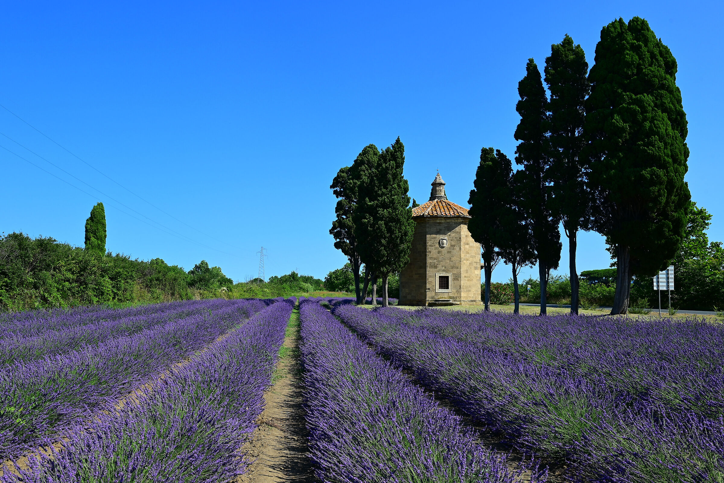 Oratory of San Guido - Bolgheri
