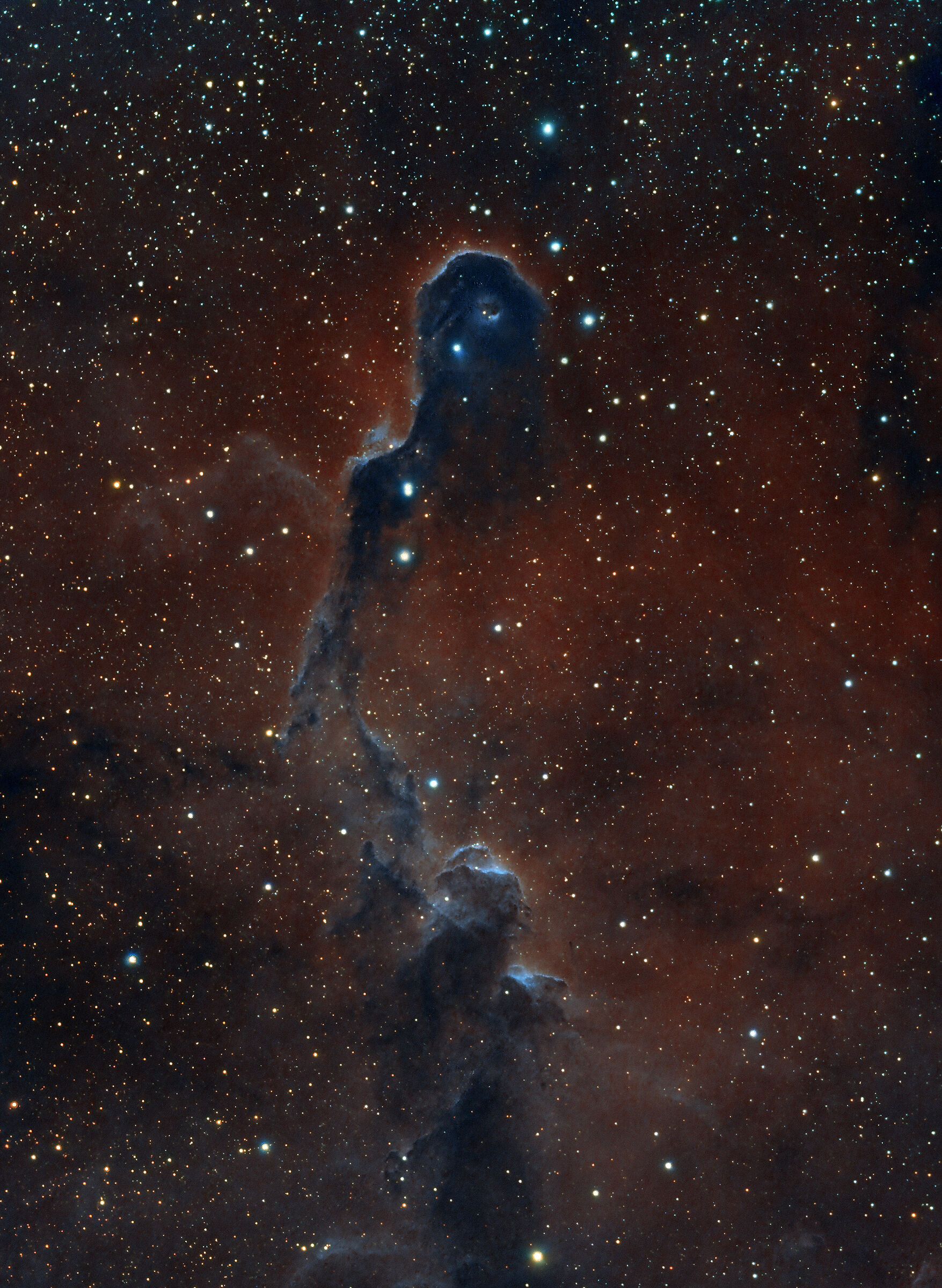 Elephant Trunk Nebula