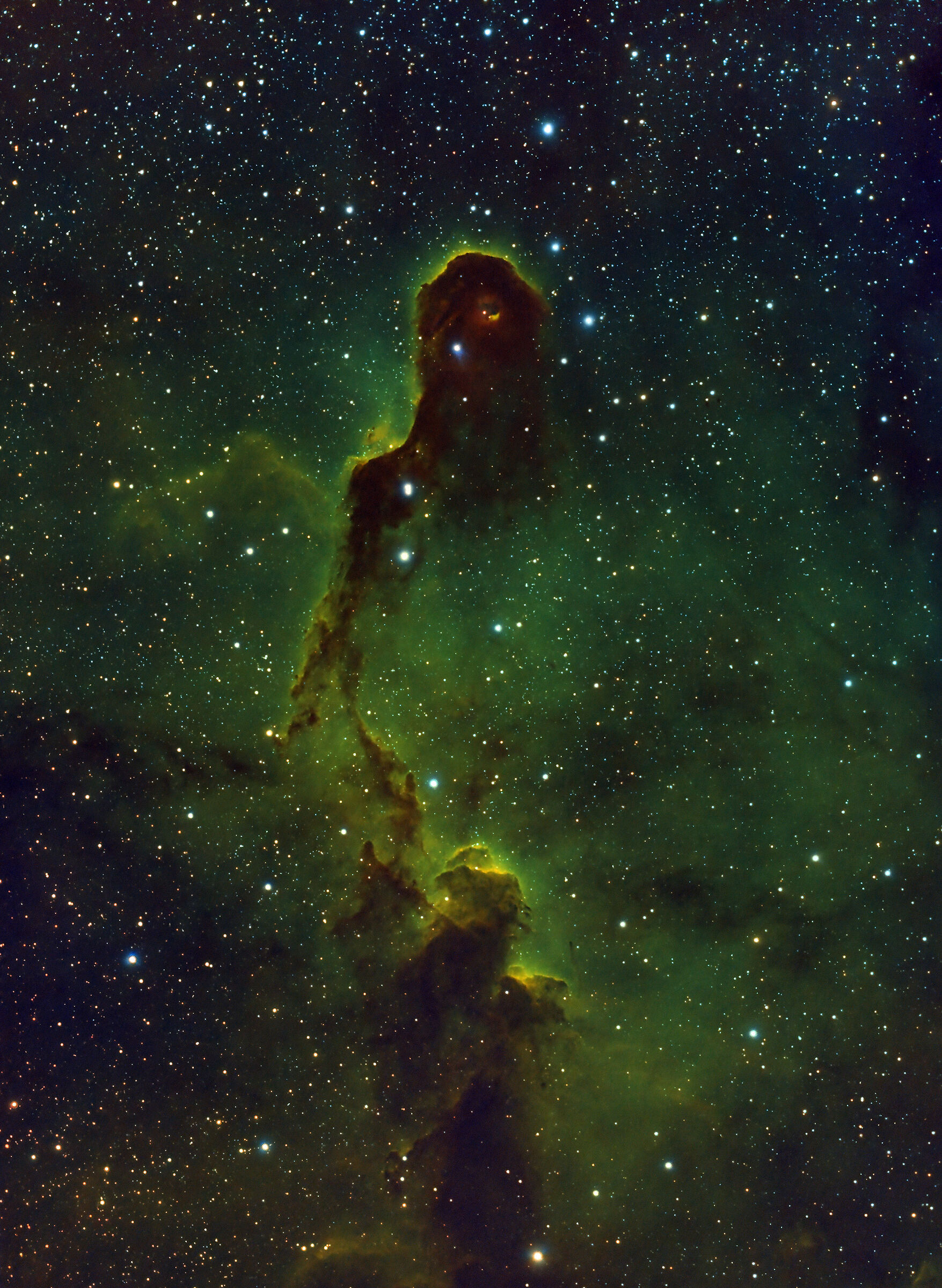 Elephant Trunk Nebula (SHO+RGB Stars)