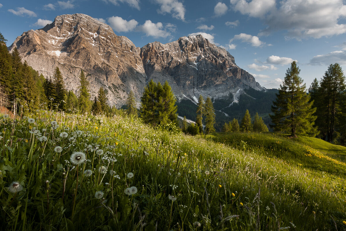 Sas dies Nu and Sas dies Diesc ...