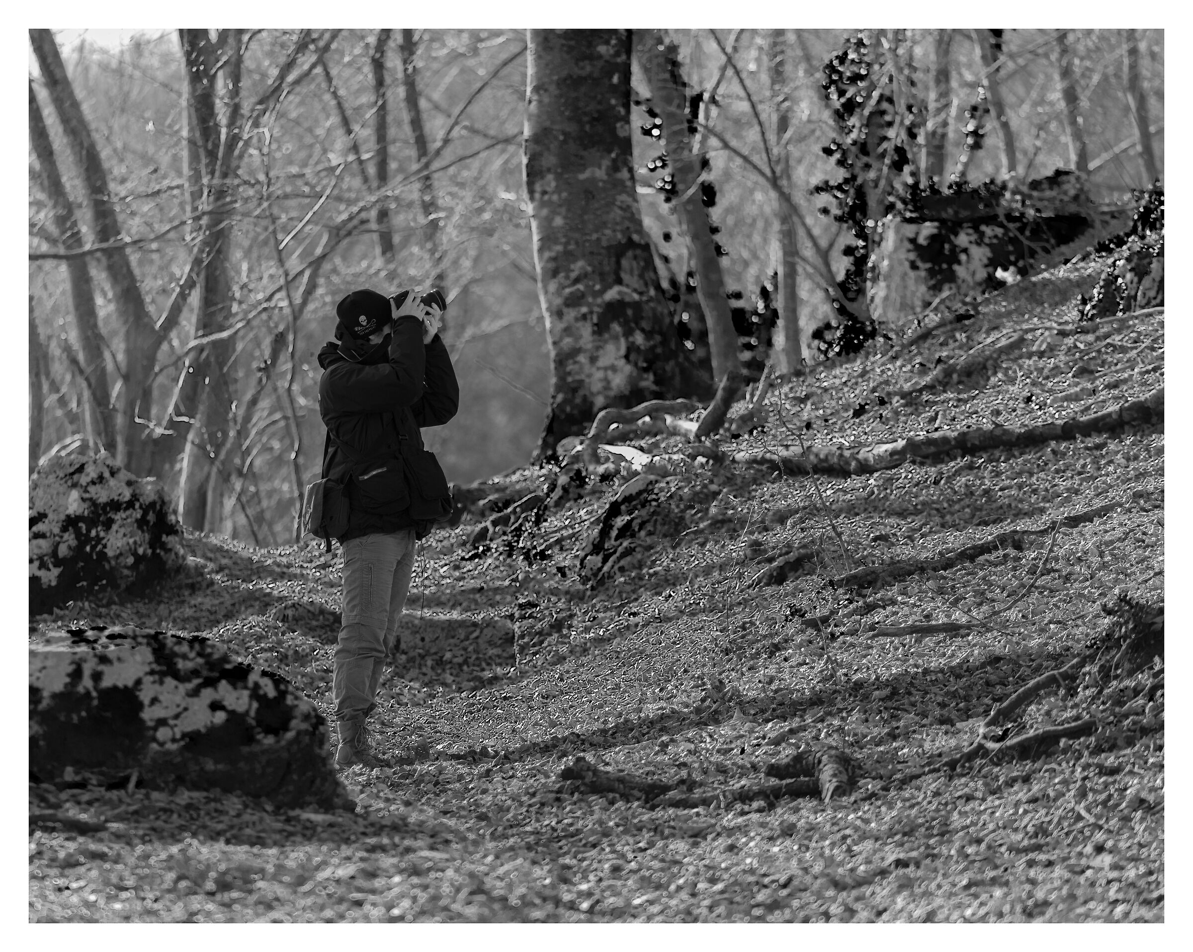 Photographer met in the woods