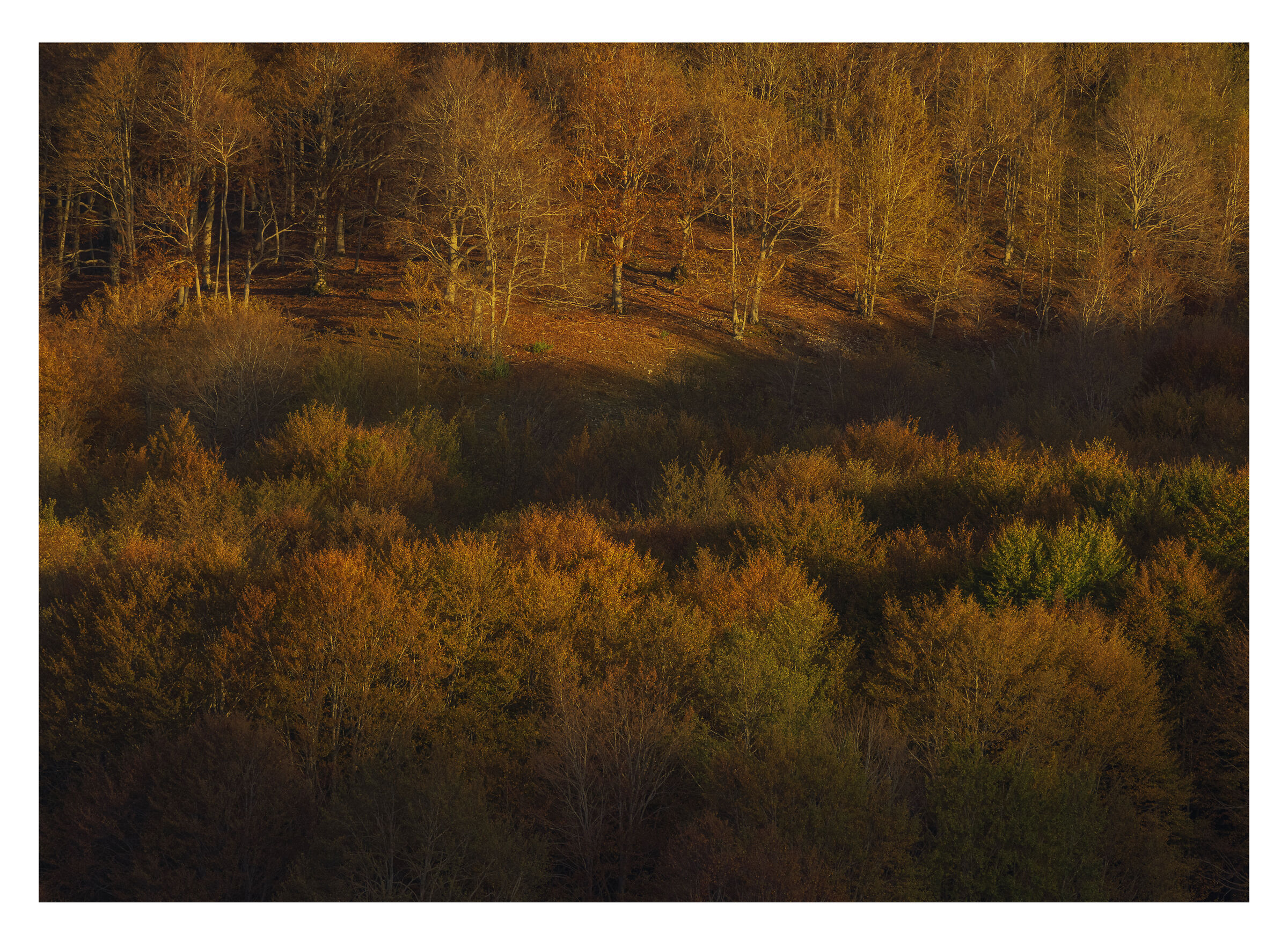 Hills and hills in the first rays of the sun