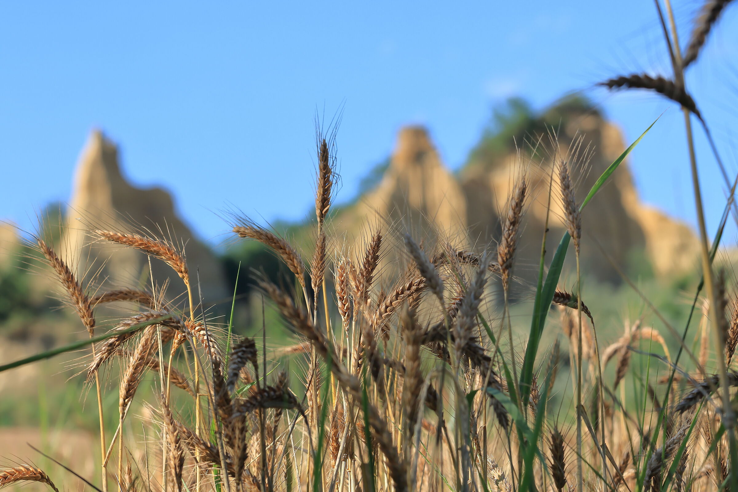 Le balze del Valdarno