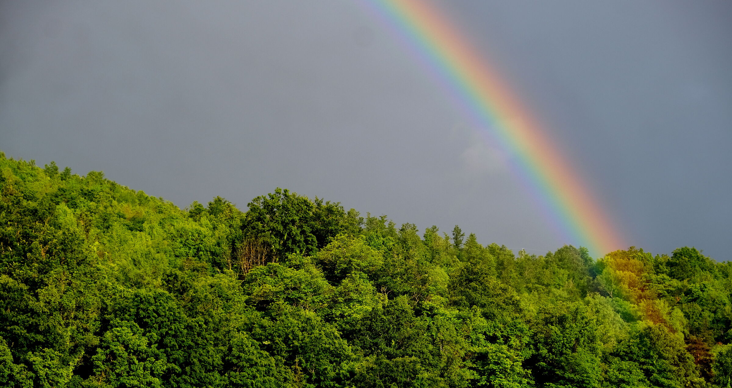 arcobaleno