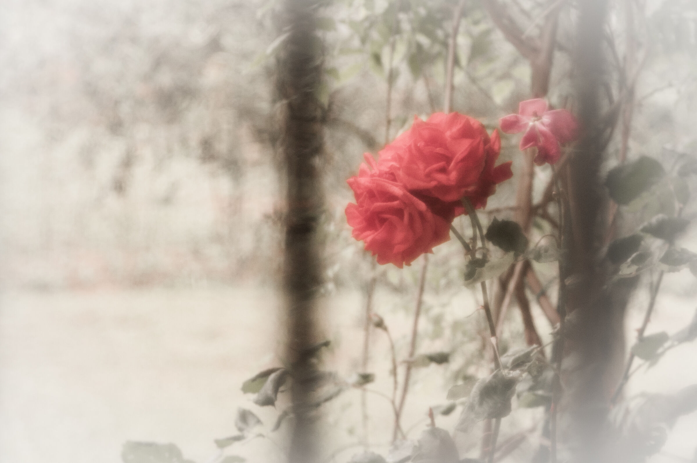 Untitled Photo