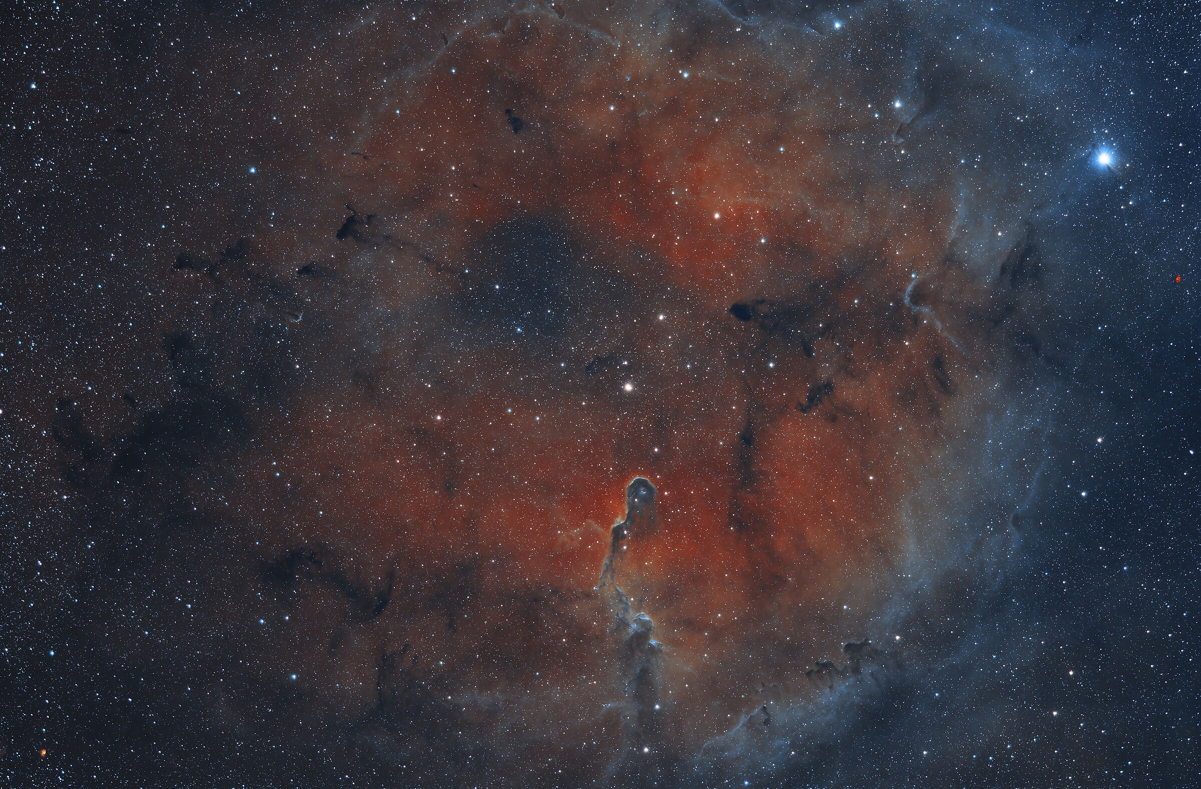 Elephant Trunk Nebula (New Palette)