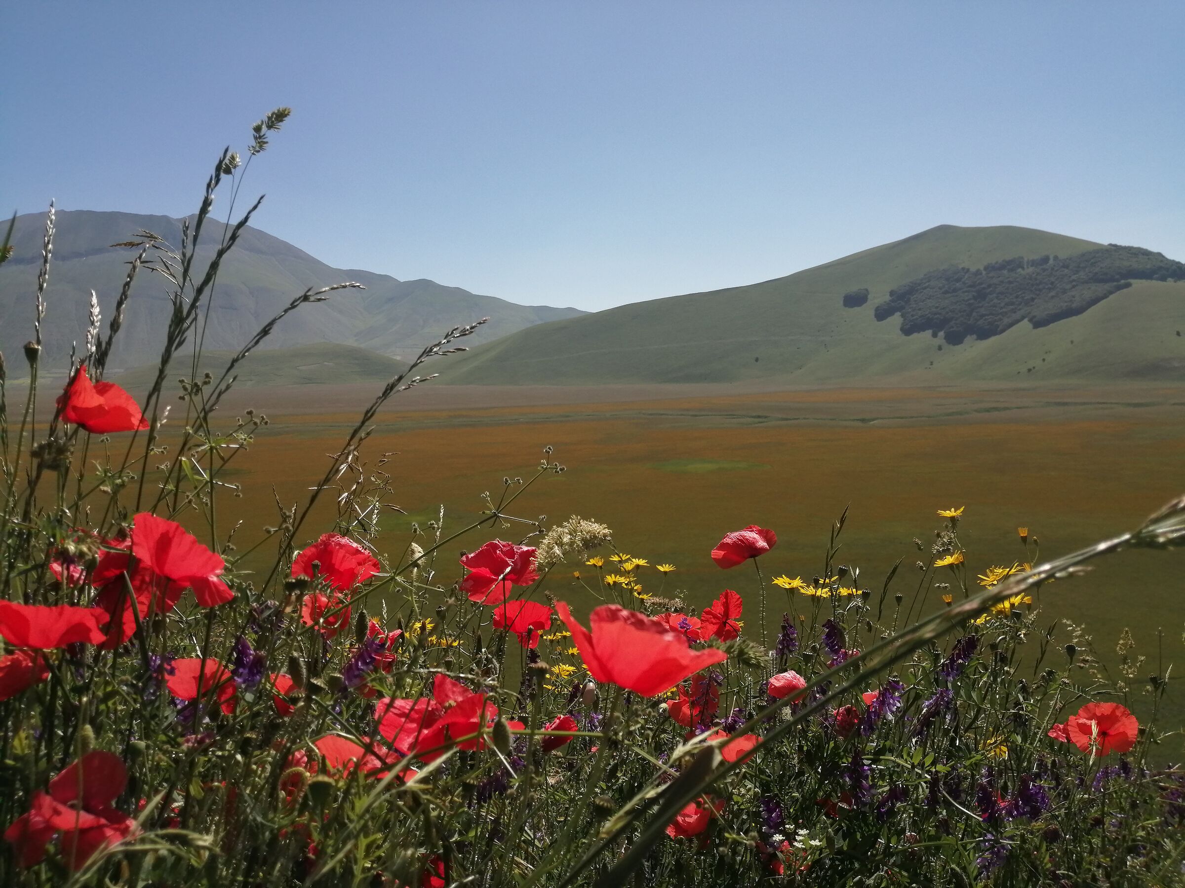 Castelluccio