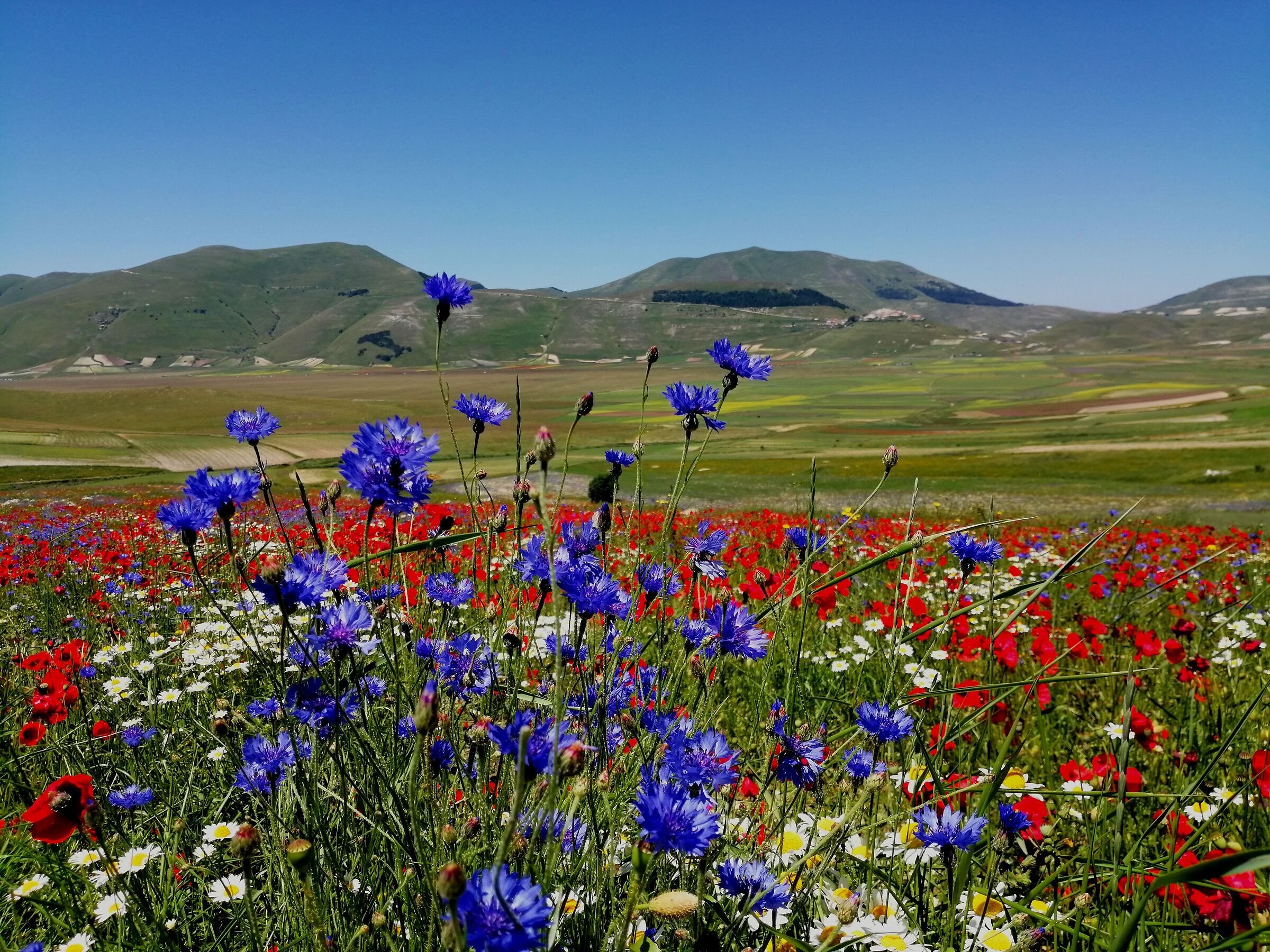 castelluccio