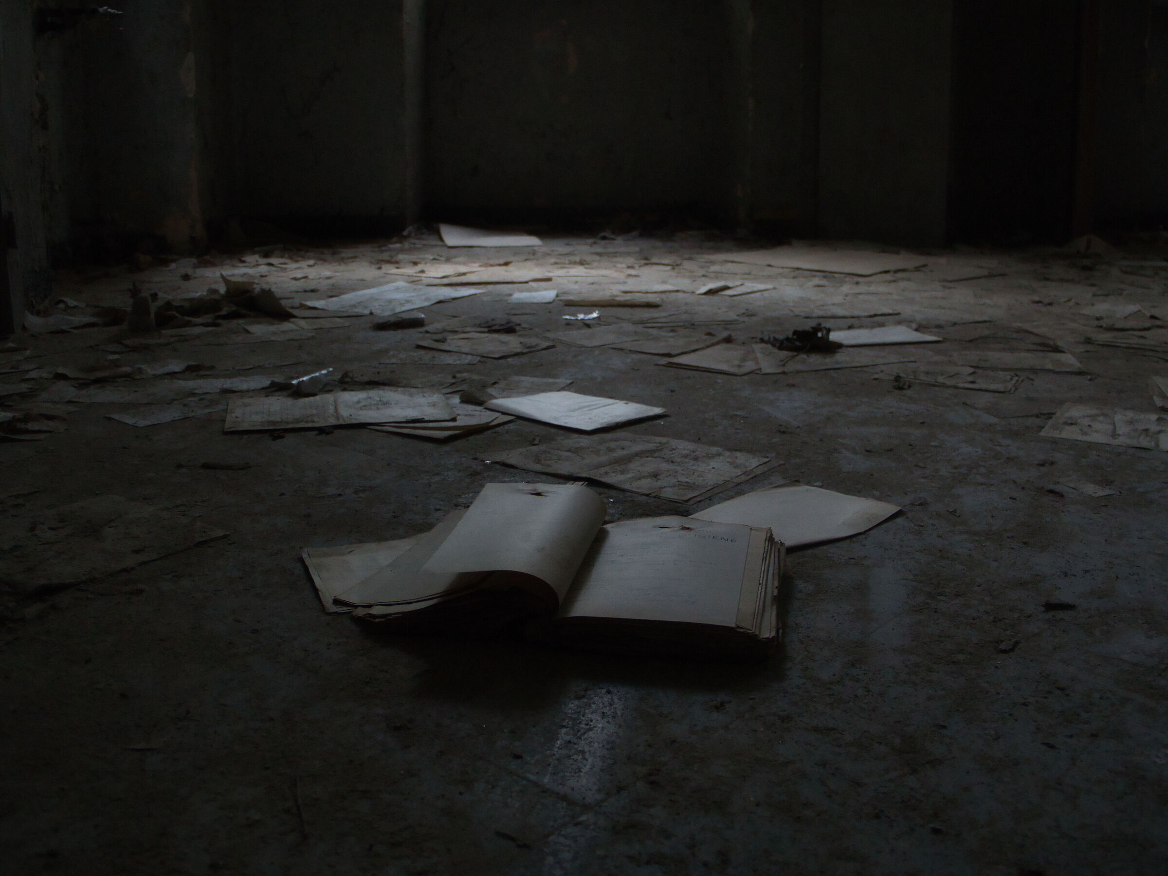 Untitled Photo