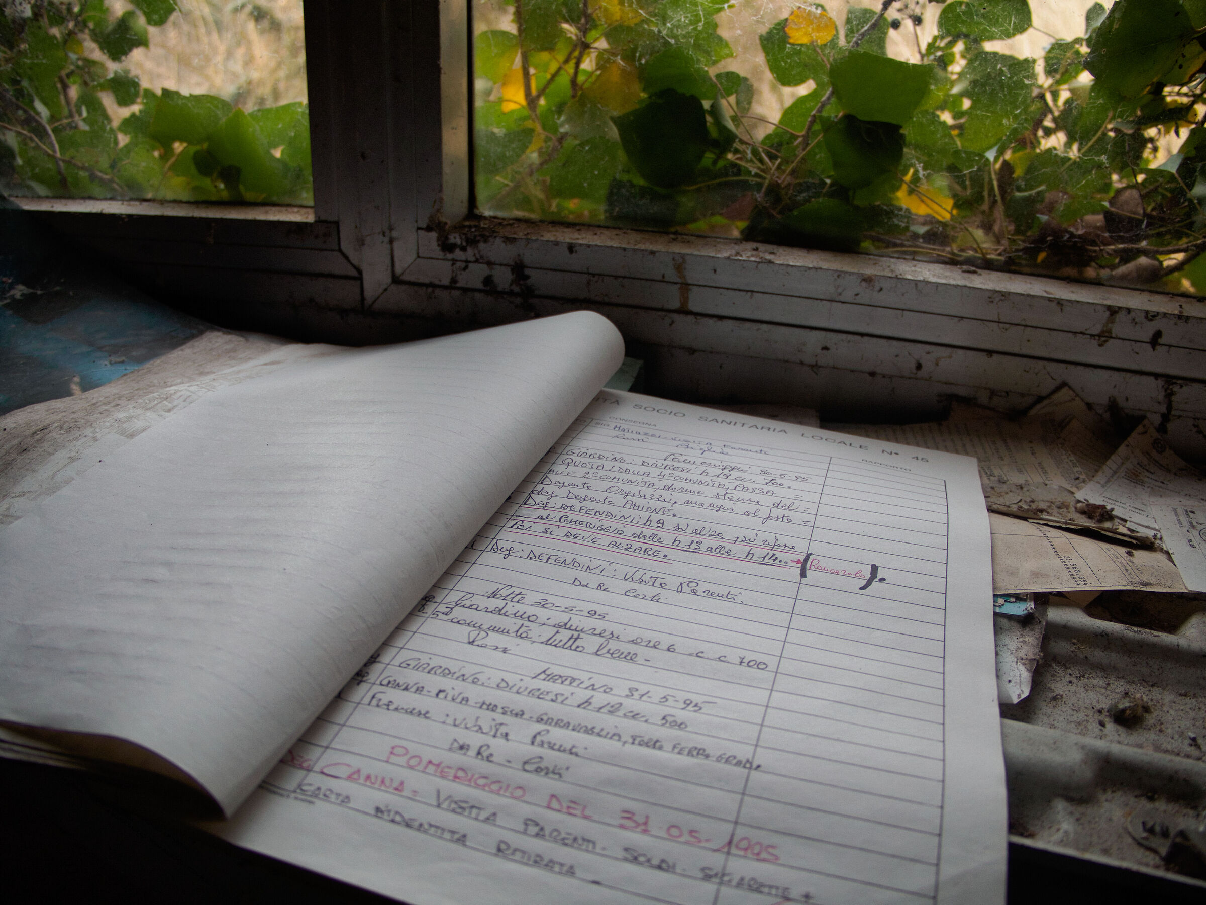 Untitled Photo