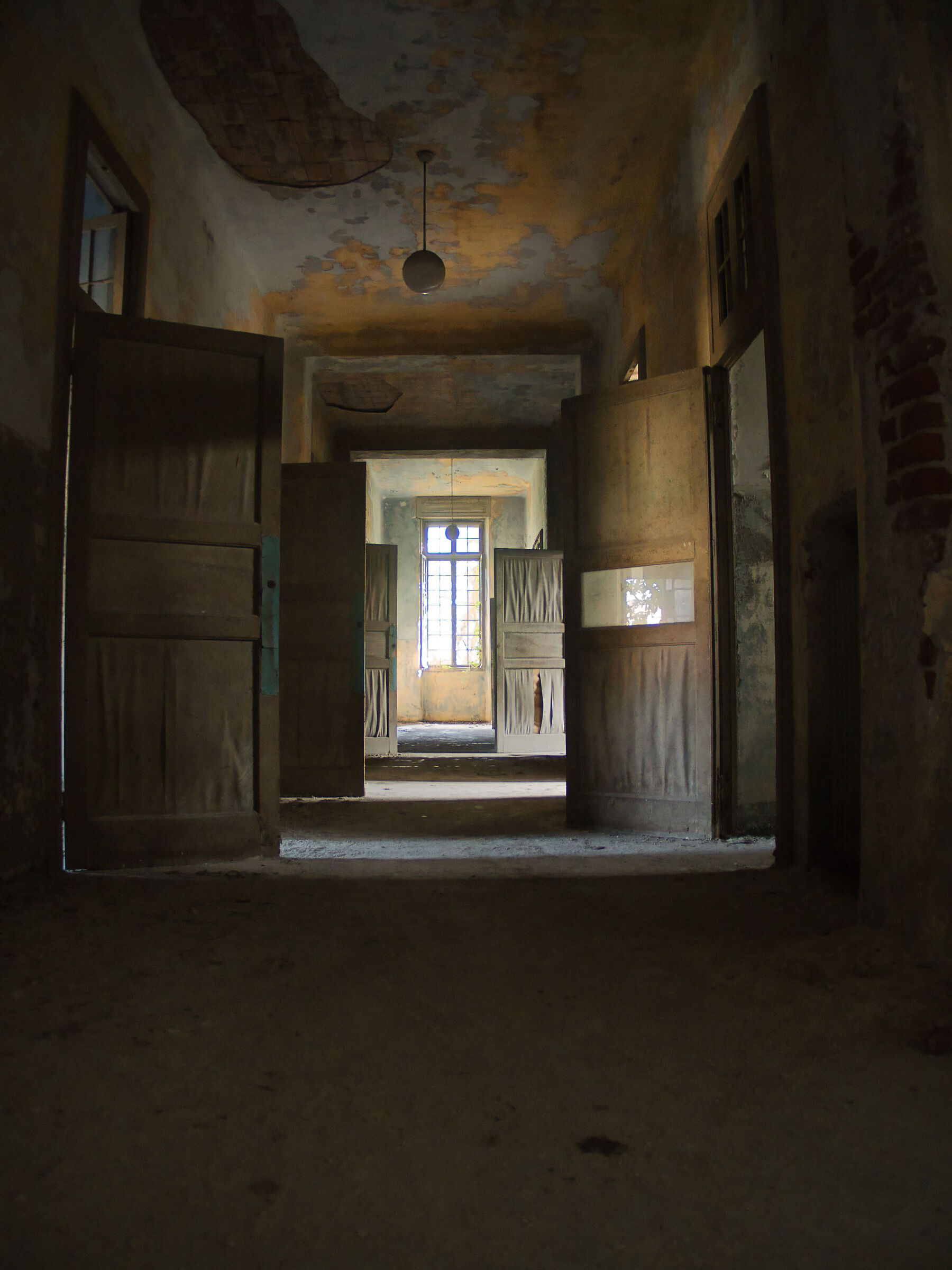 Untitled Photo