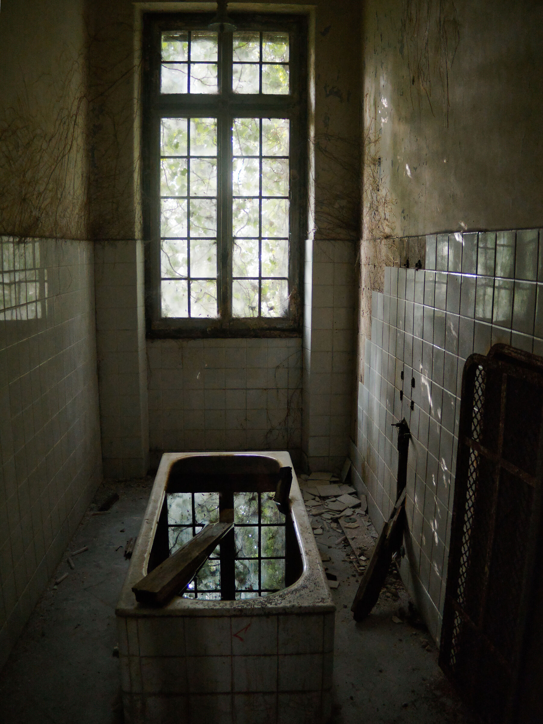 Untitled Photo