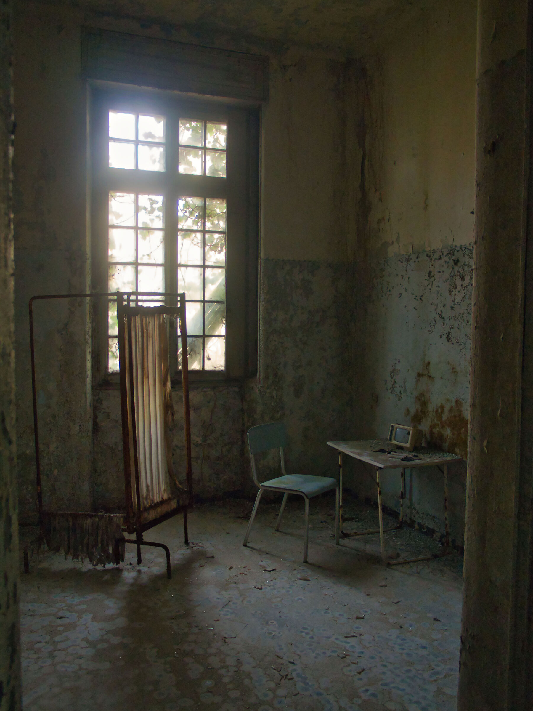 Untitled Photo
