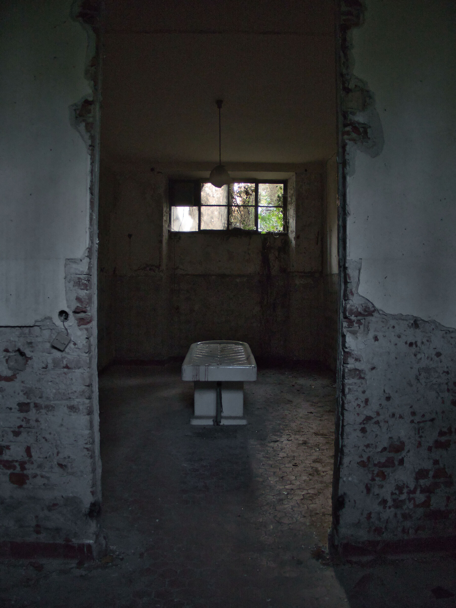 Untitled Photo
