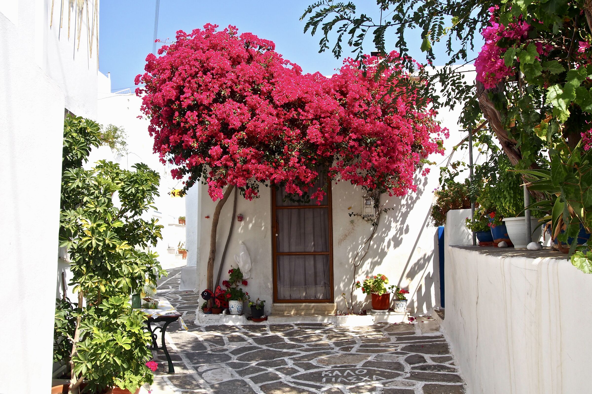 Isole Cicladi- i vicoli di Left