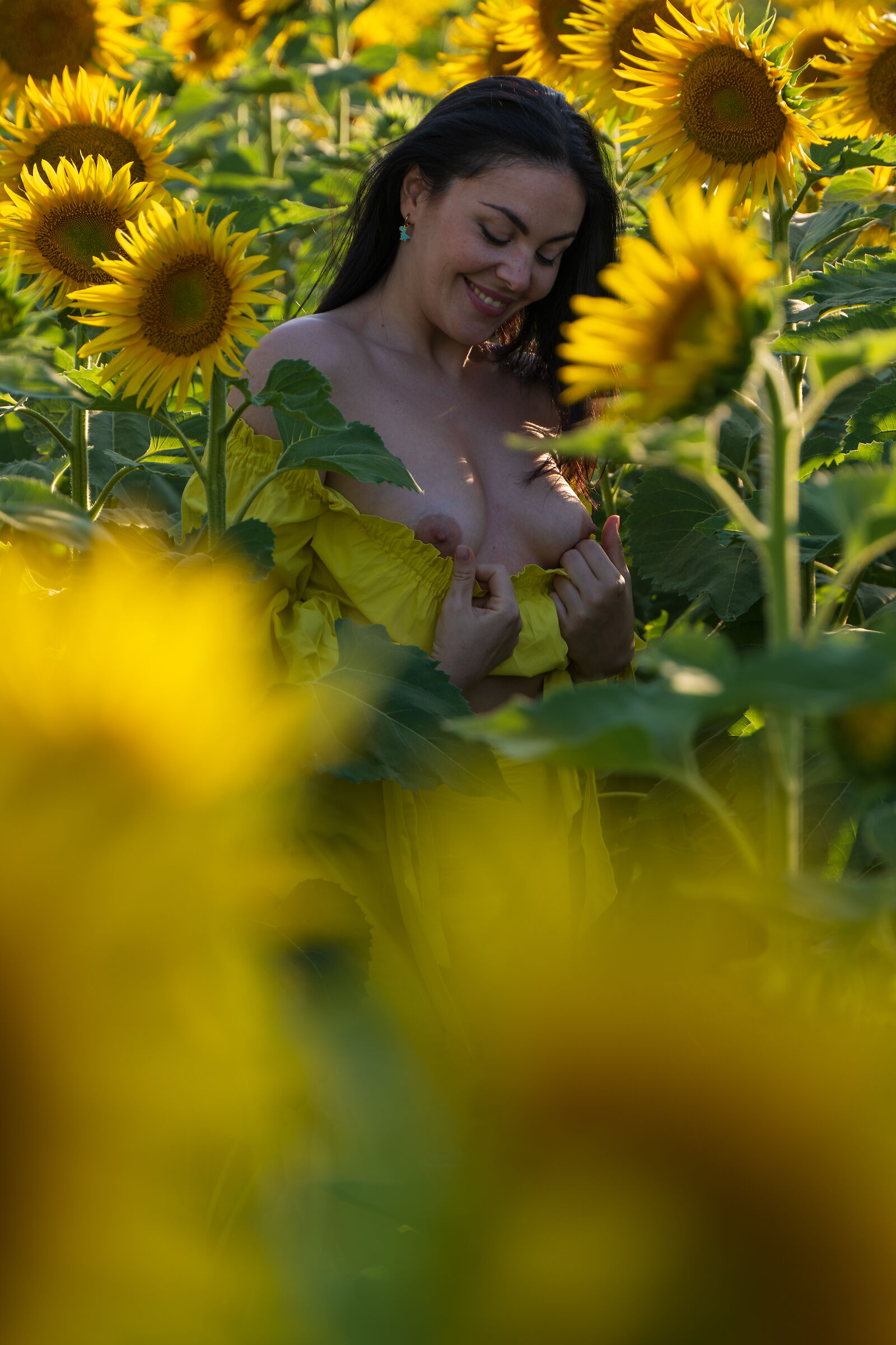 Sexy Sunflowers