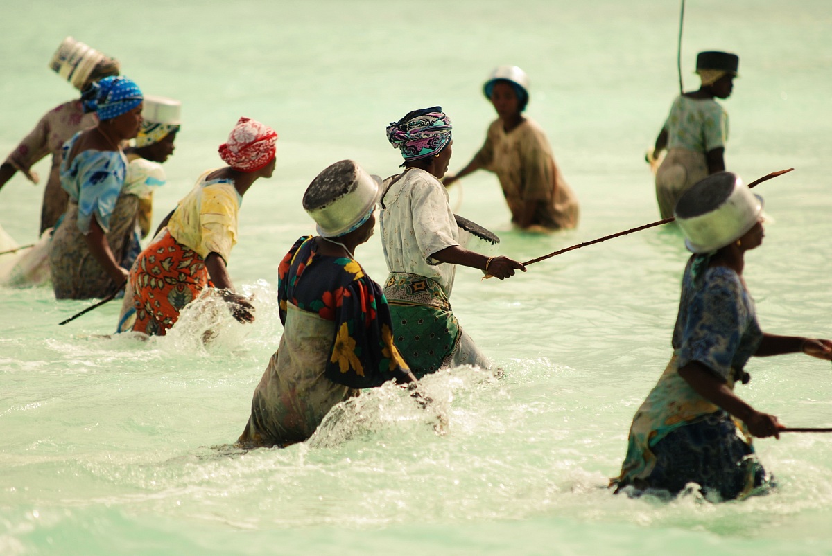 Zanzibar fishing