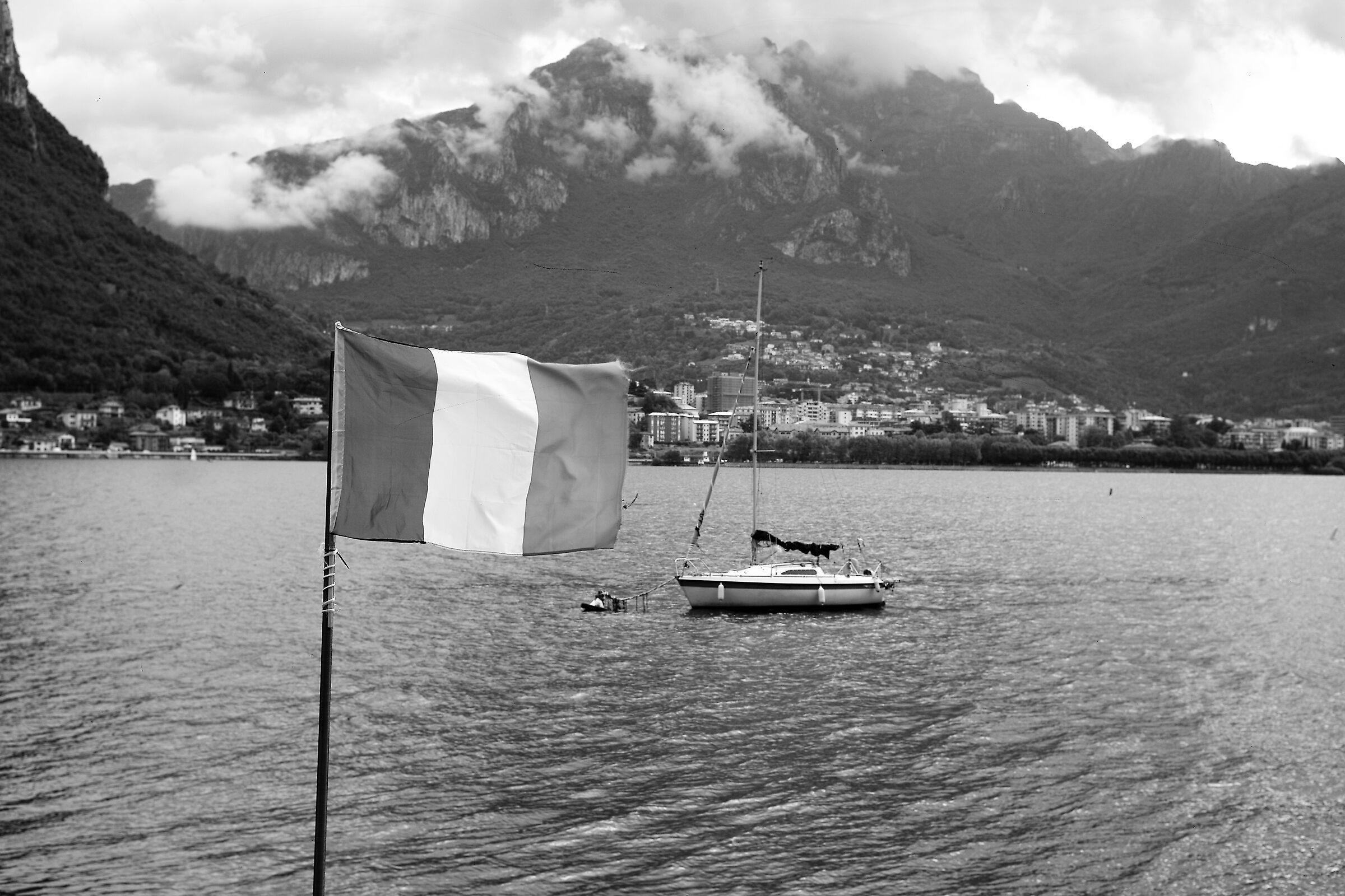 Tricolore...no Trigrigio