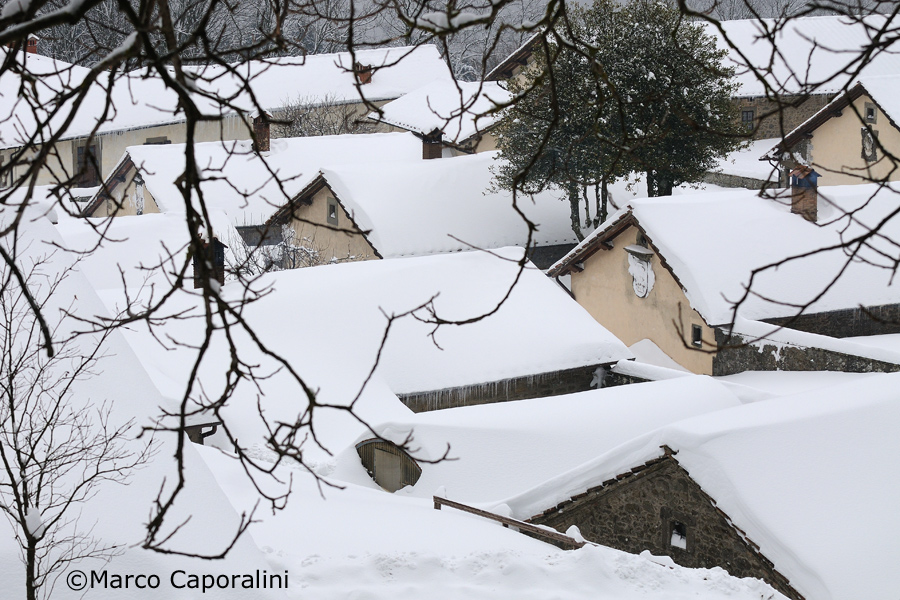 The cells of the monks