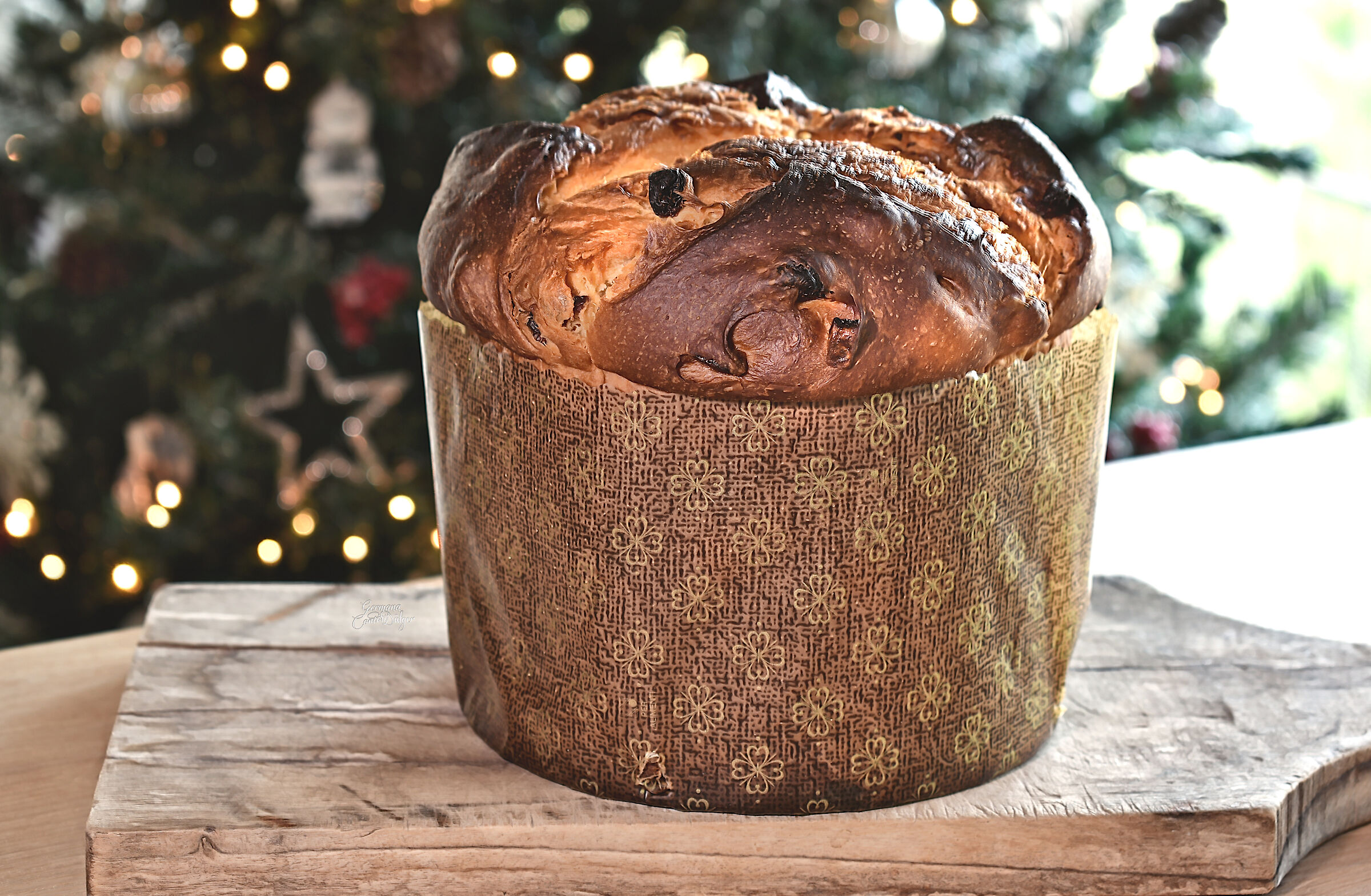 Panettone