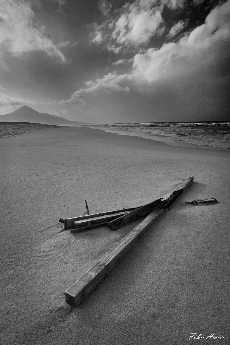 What the sea returns