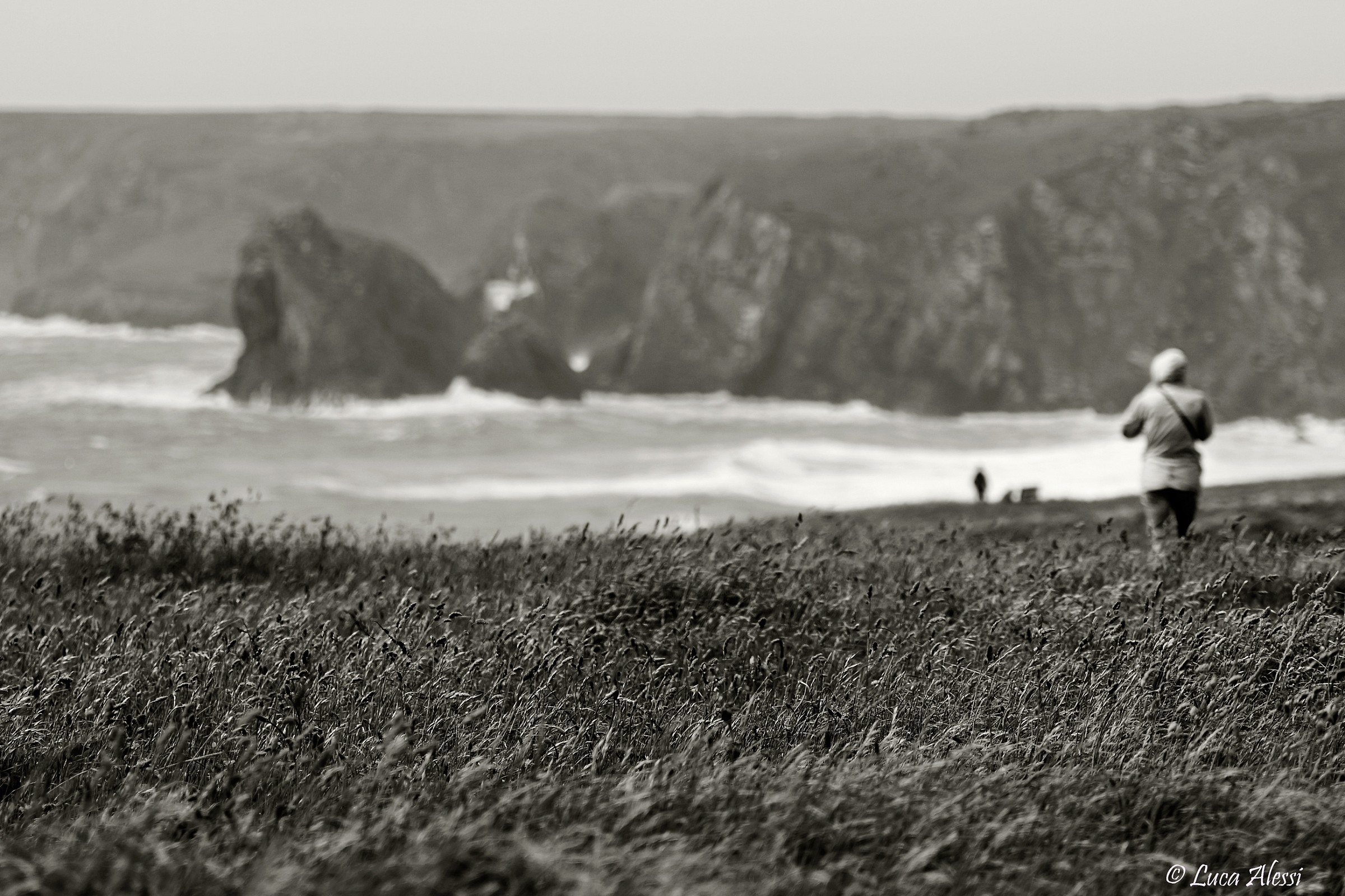 Shipwreck in the wind