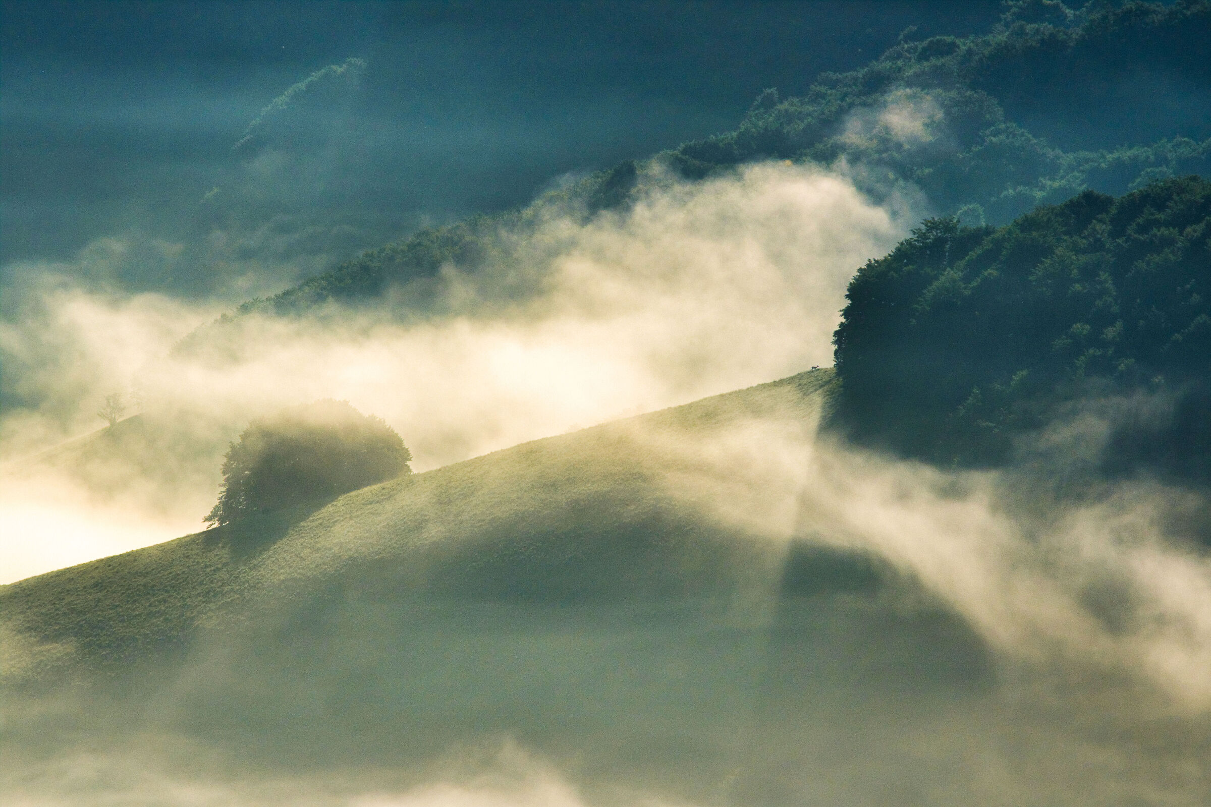 Castelluccio - Italy