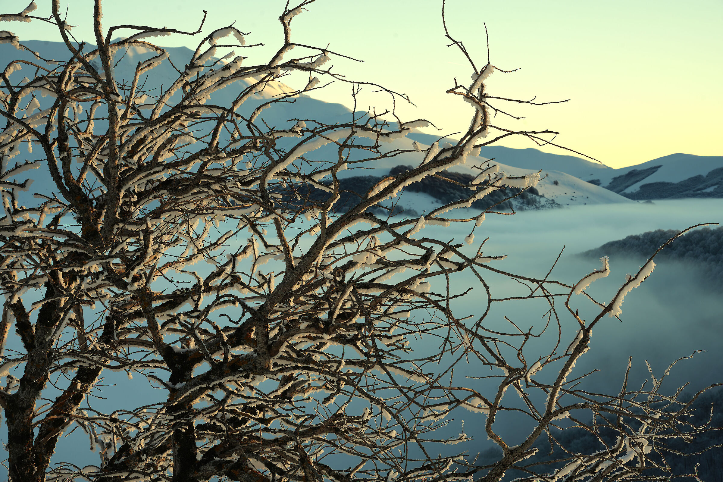 The great cold