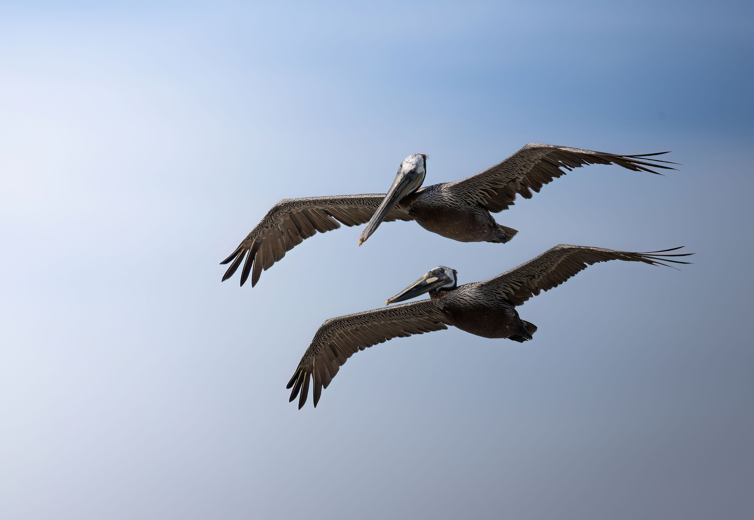 Fly a little further