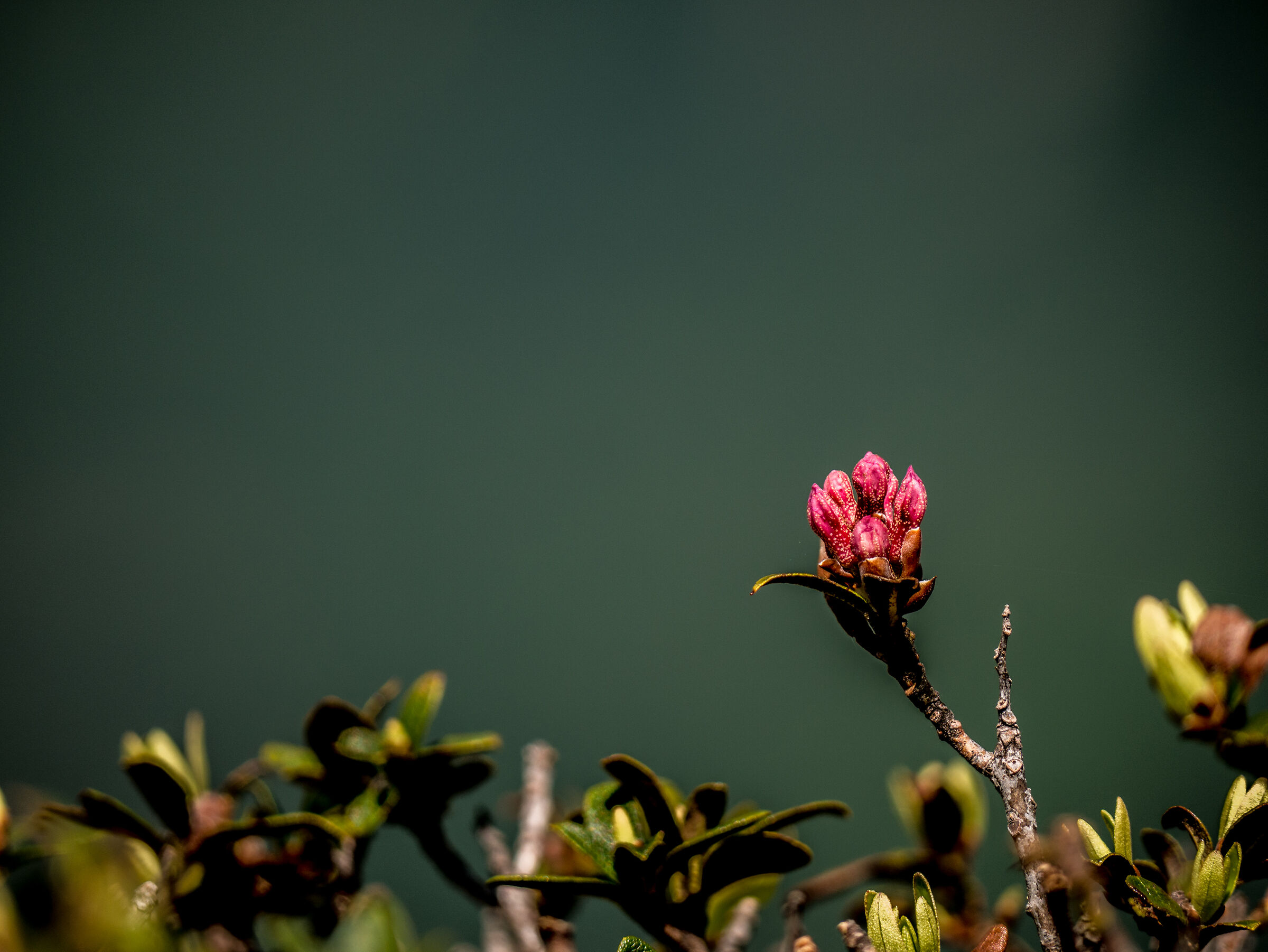 Sembra strano, ma lo sfondo è vero...