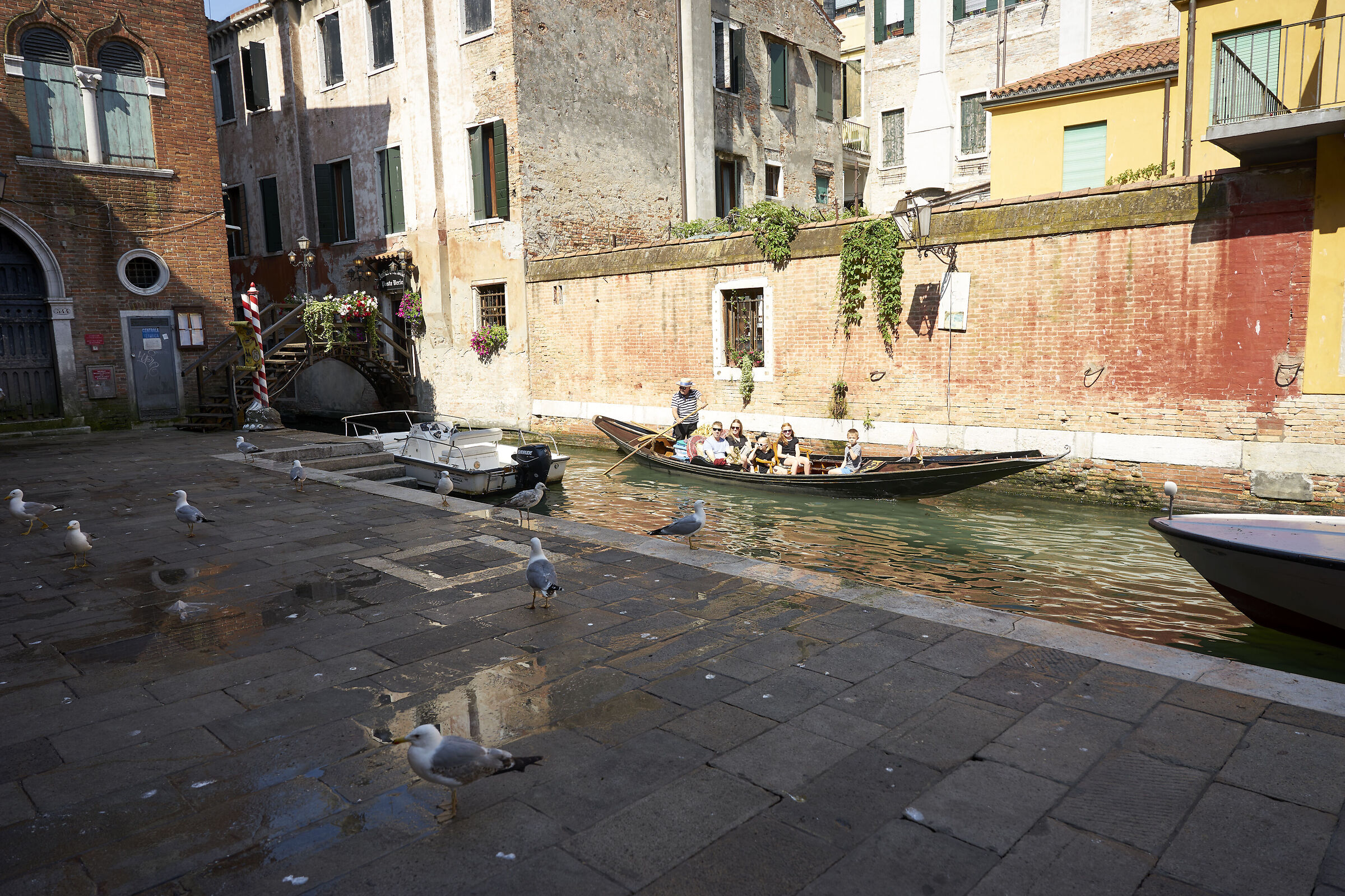 Una passeggiata a Venezia