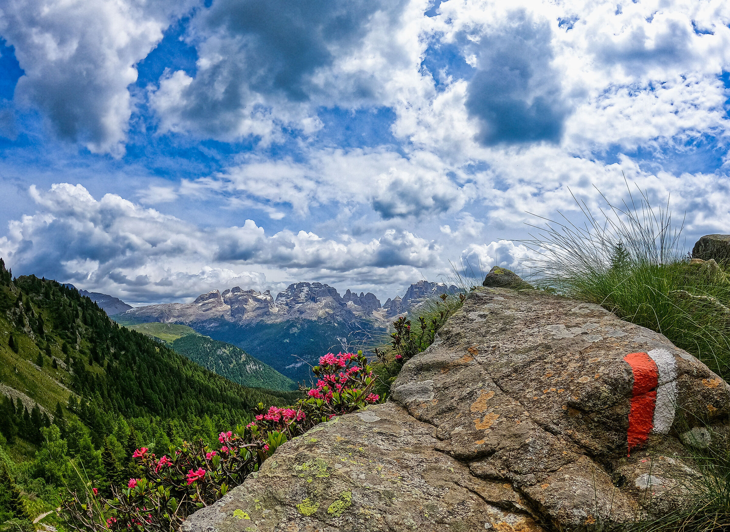 Brenta1
