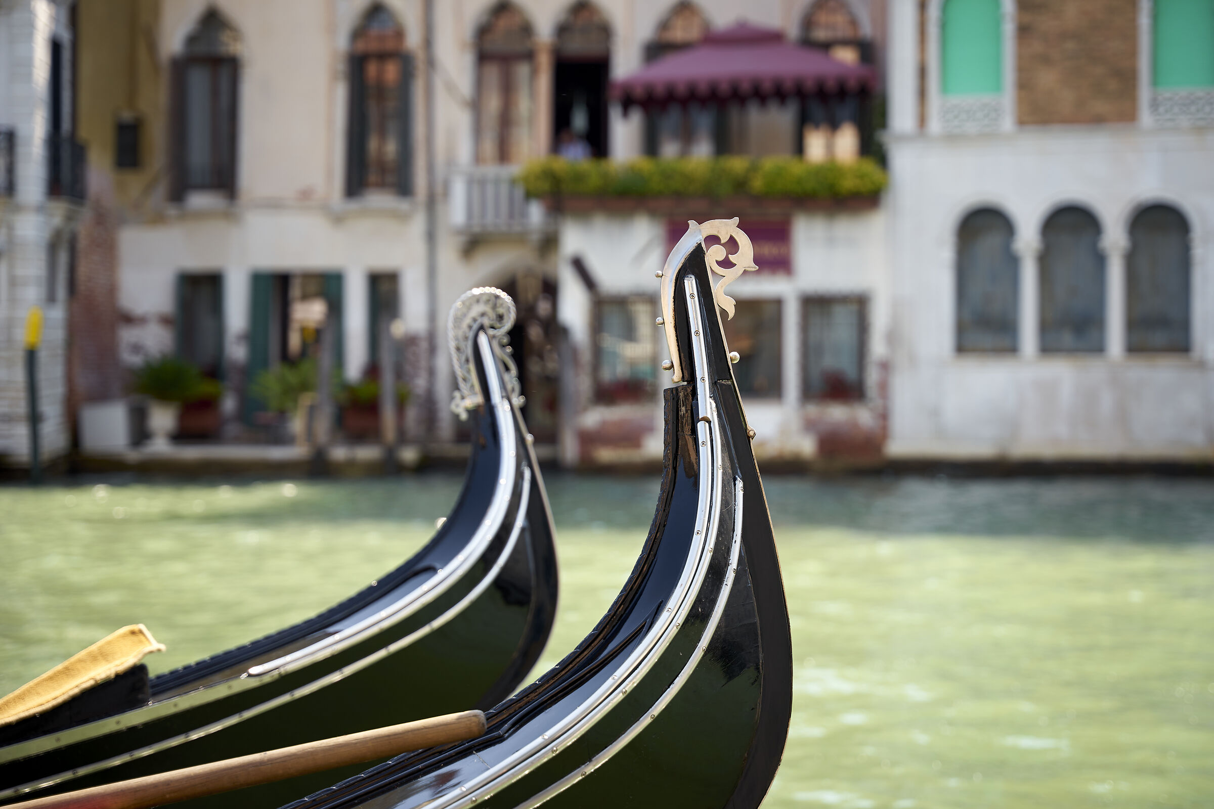 Una passeggiata a Venezia