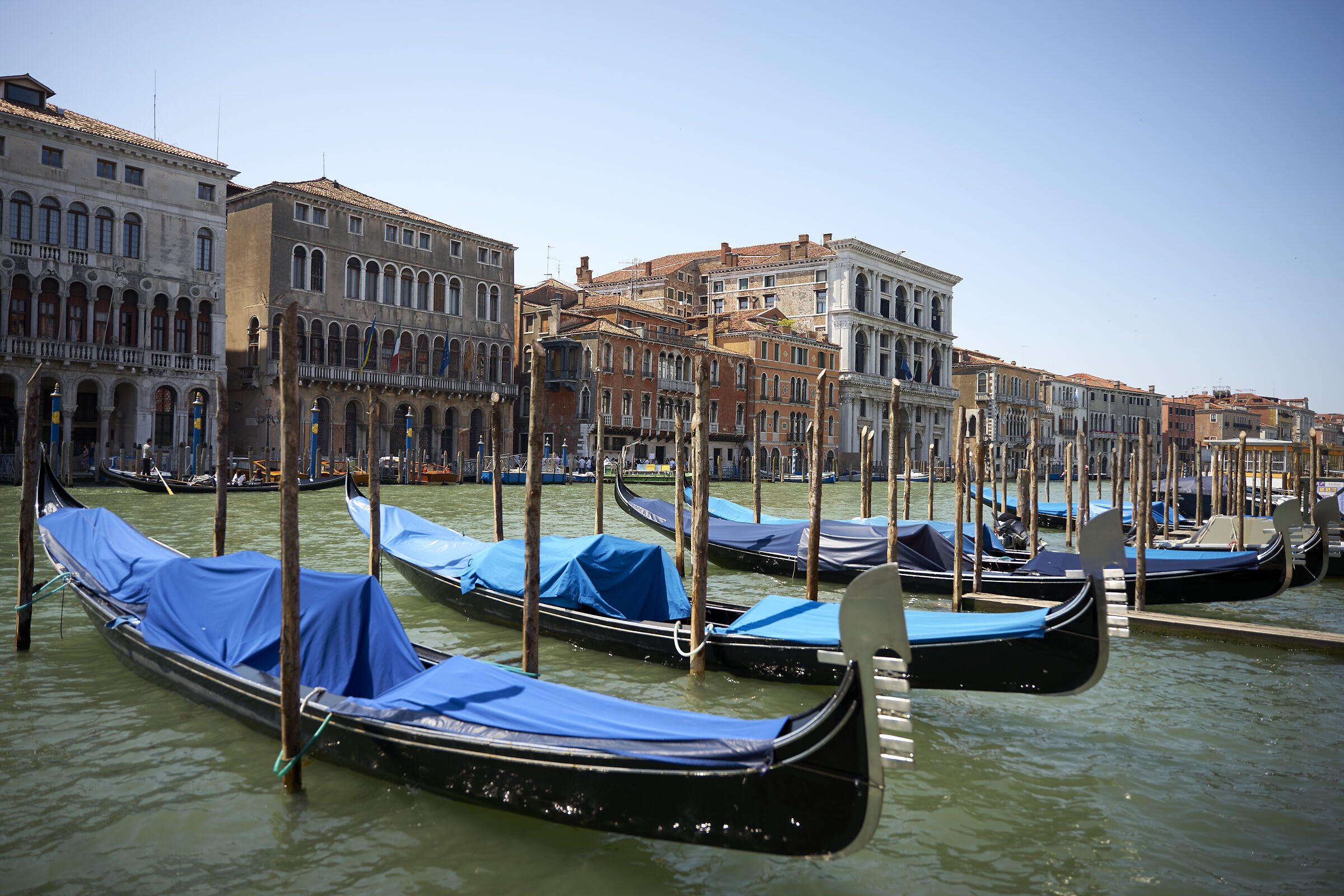 Una passeggiata a Venezia