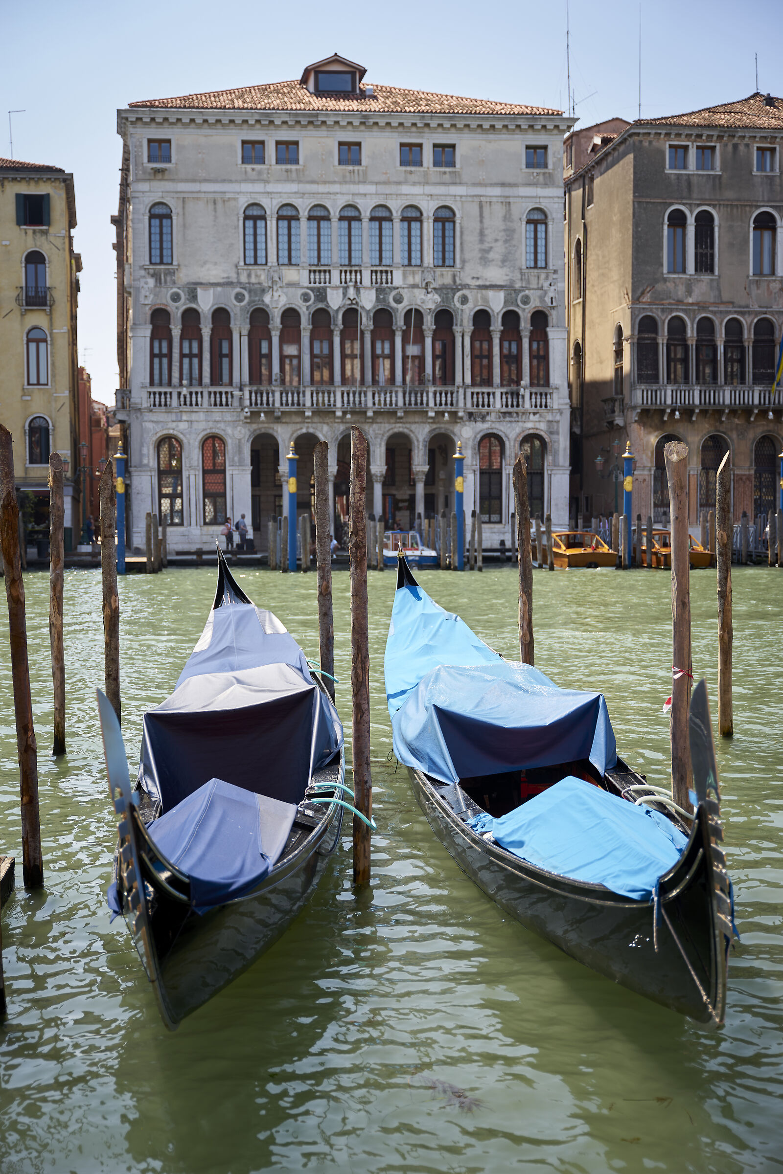 Una passeggiata a Venezia