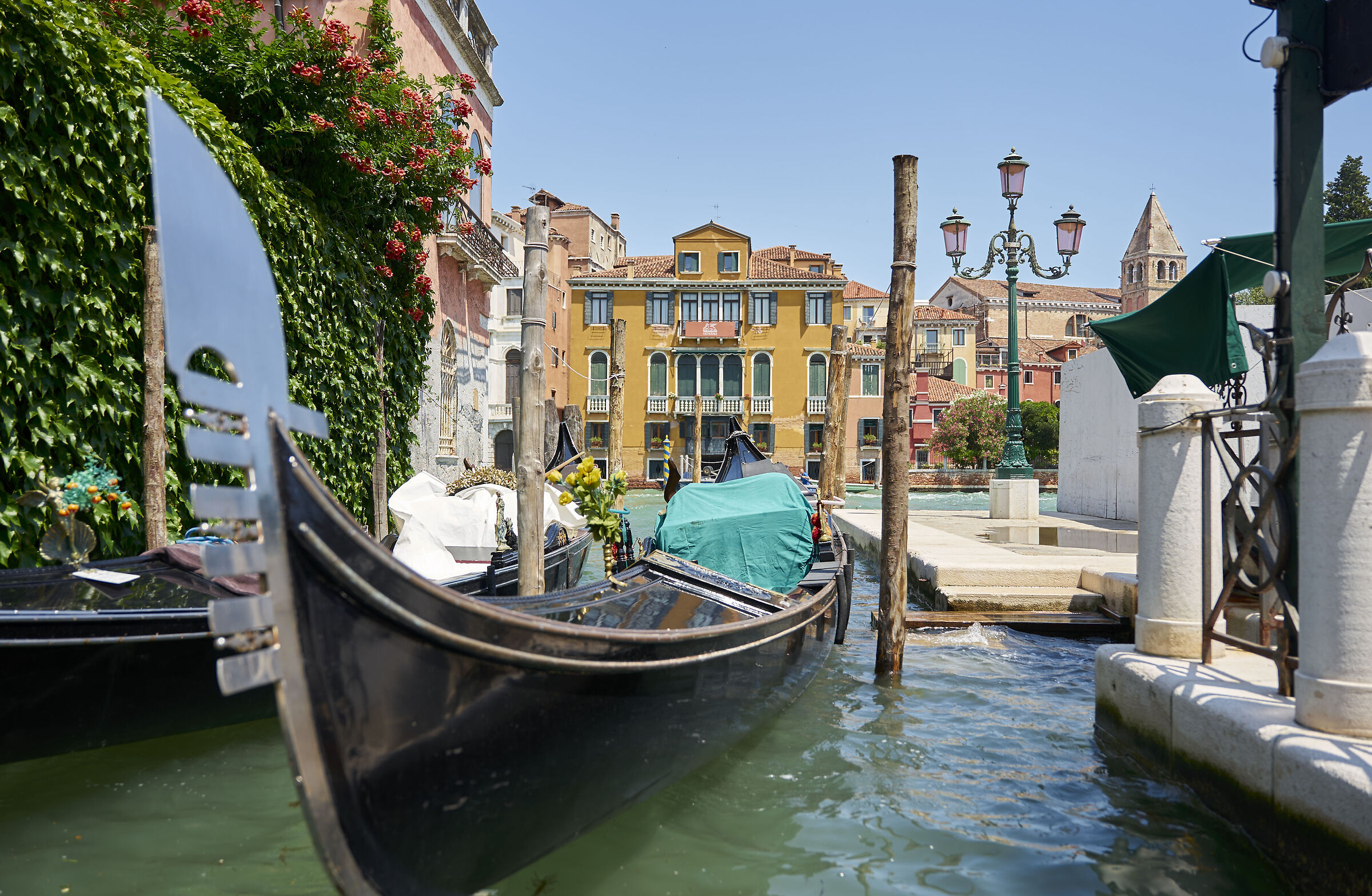 Una passeggiata a Venezia