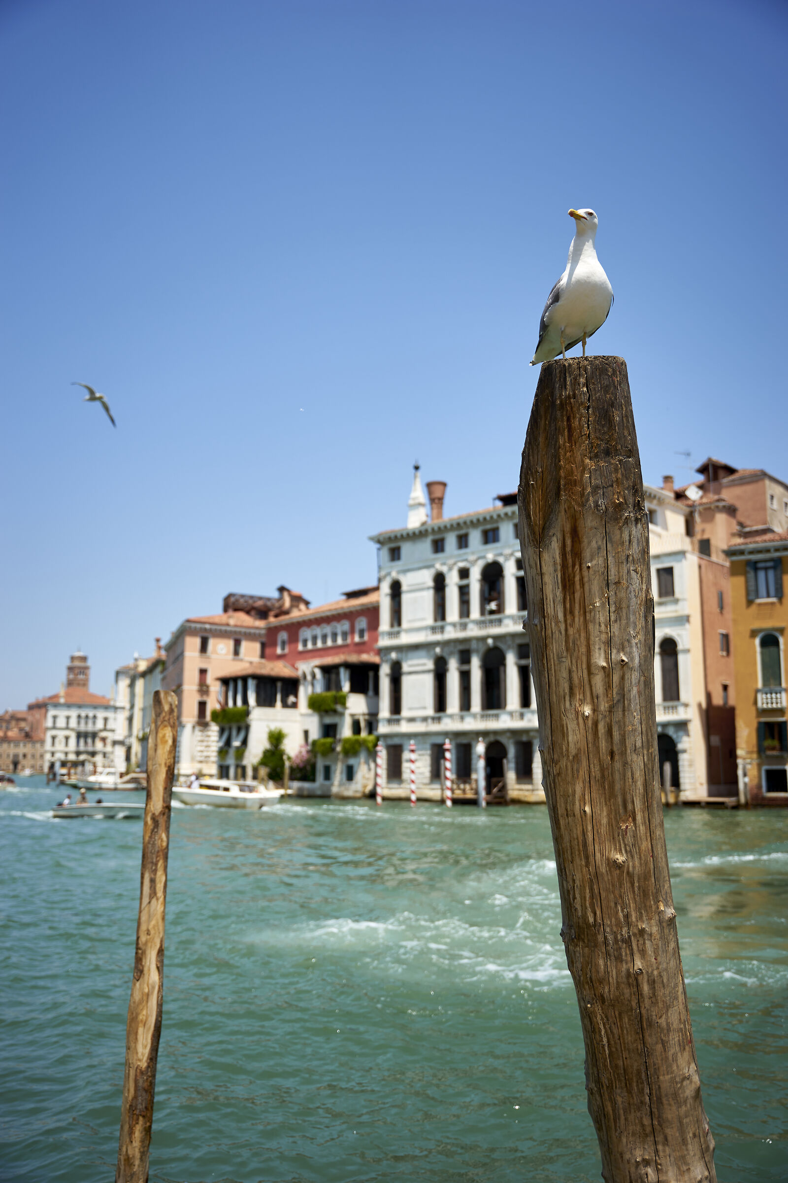 Una passeggiata a Venezia