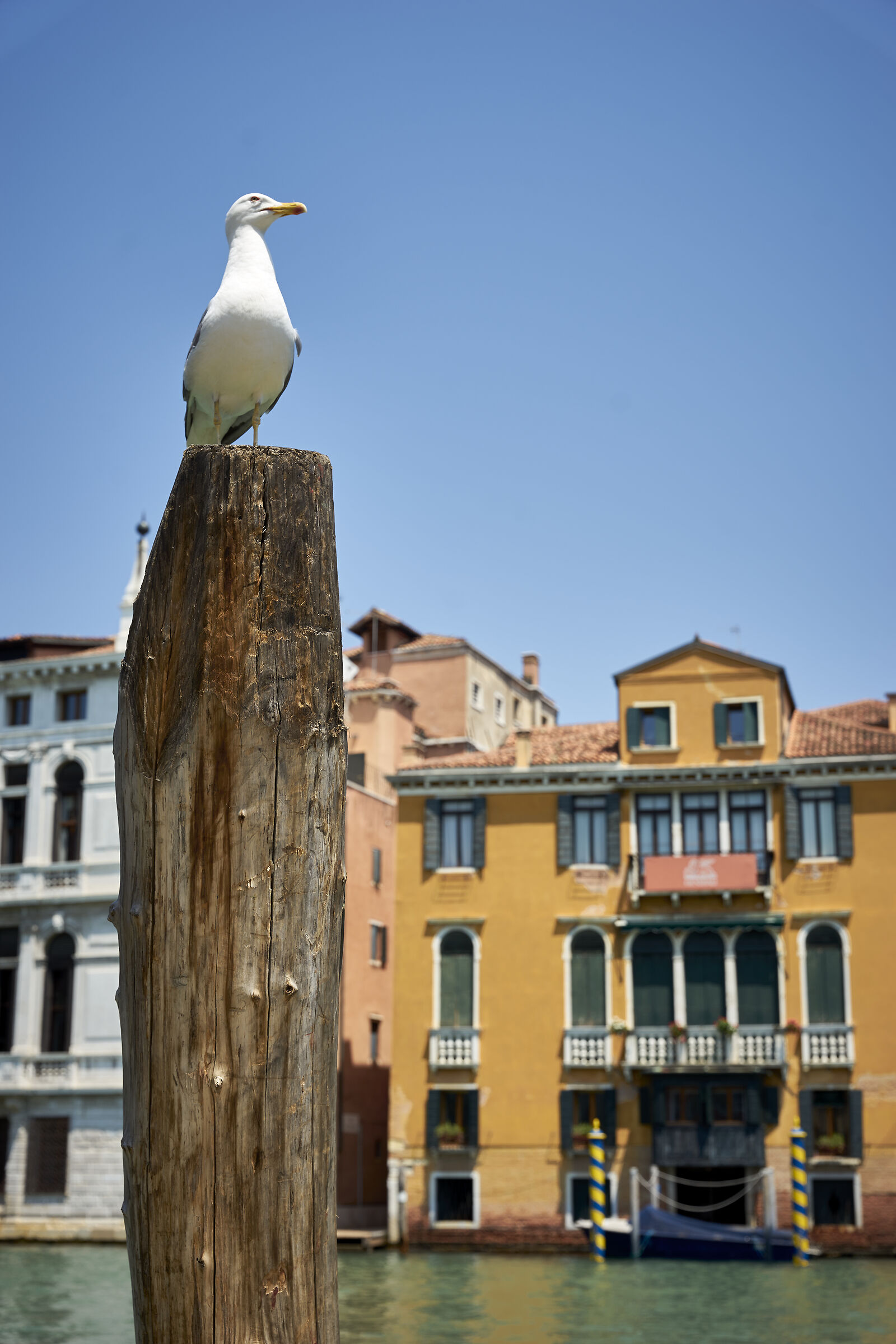 Una passeggiata a Venezia