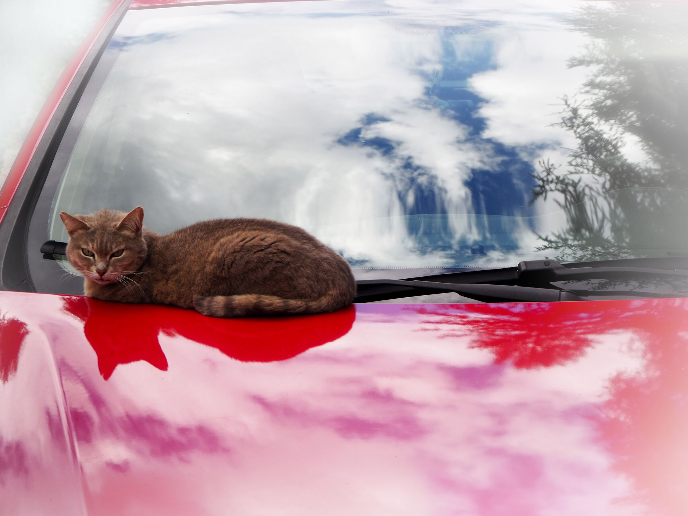 A Sky Full of ... Clouds