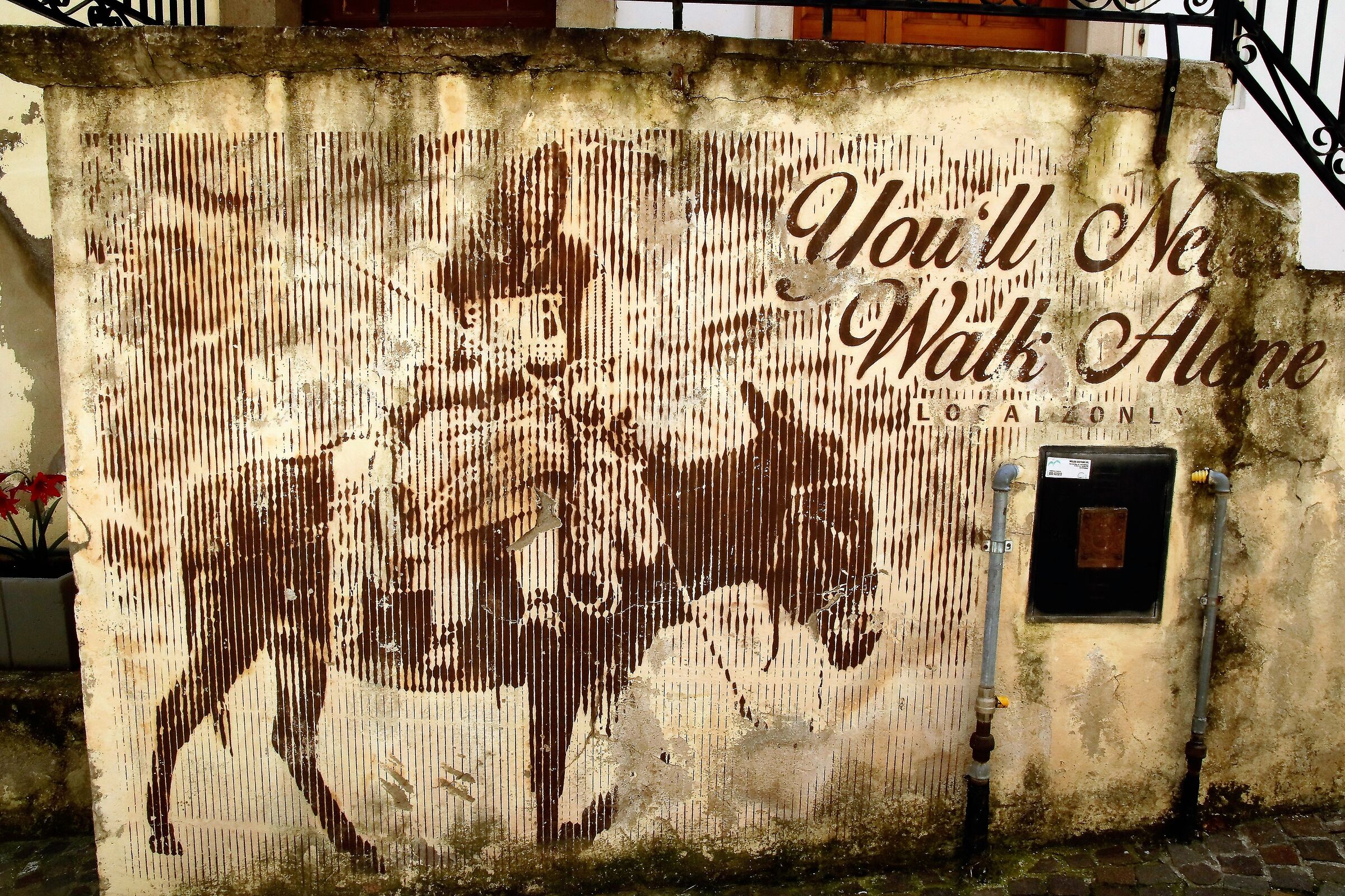 " Non camminerete mai da soli"