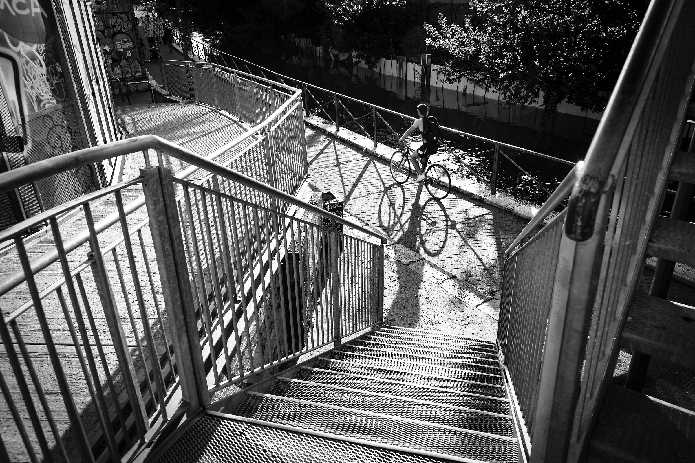 Untitled Photo