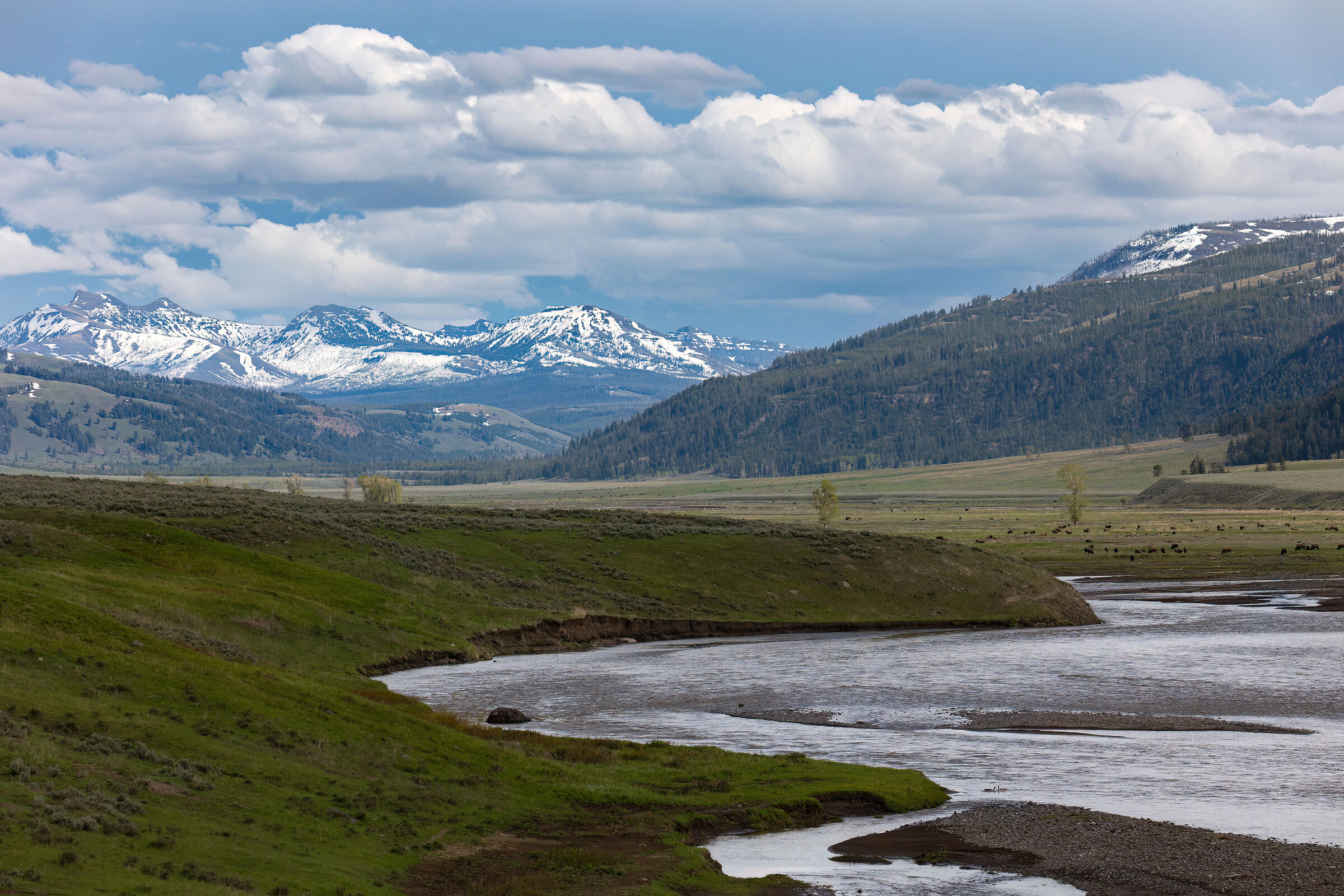 La valle dei bisonti