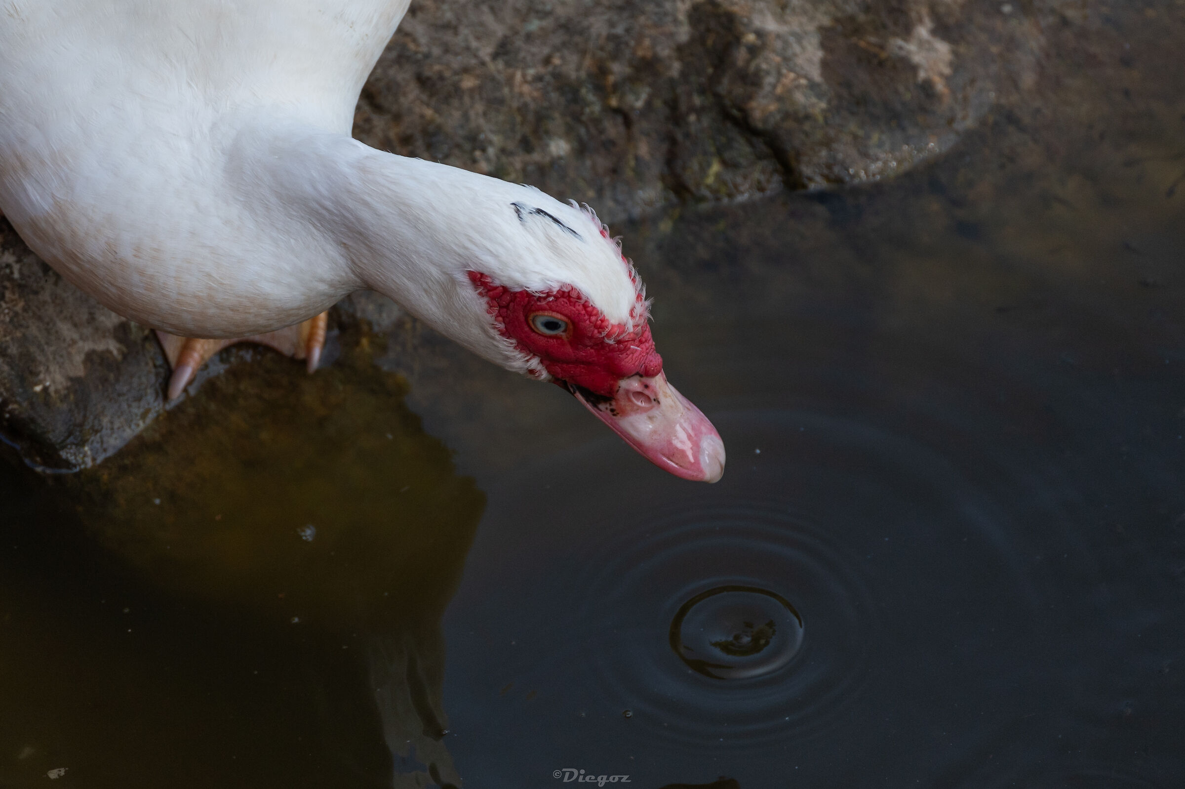 Untitled Photo