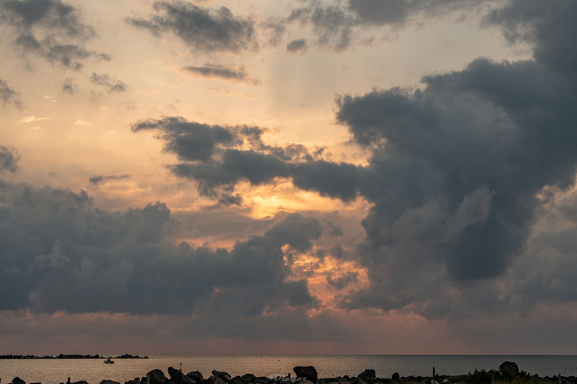 Untitled Photo