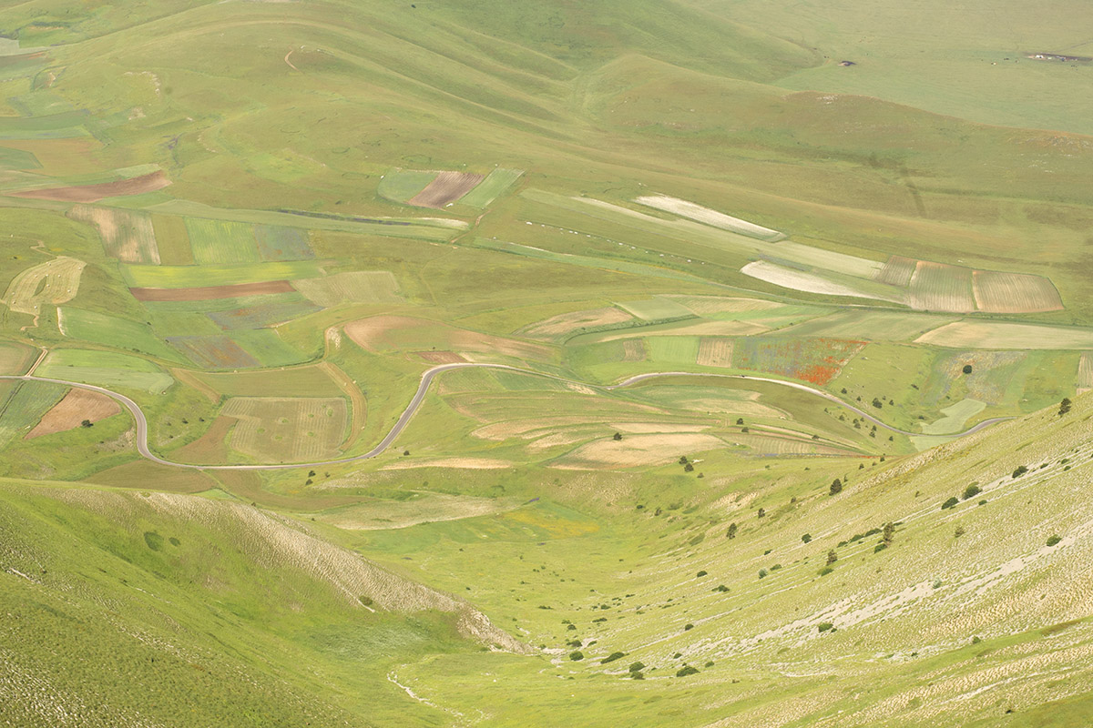 Patchwork  Castelluccio